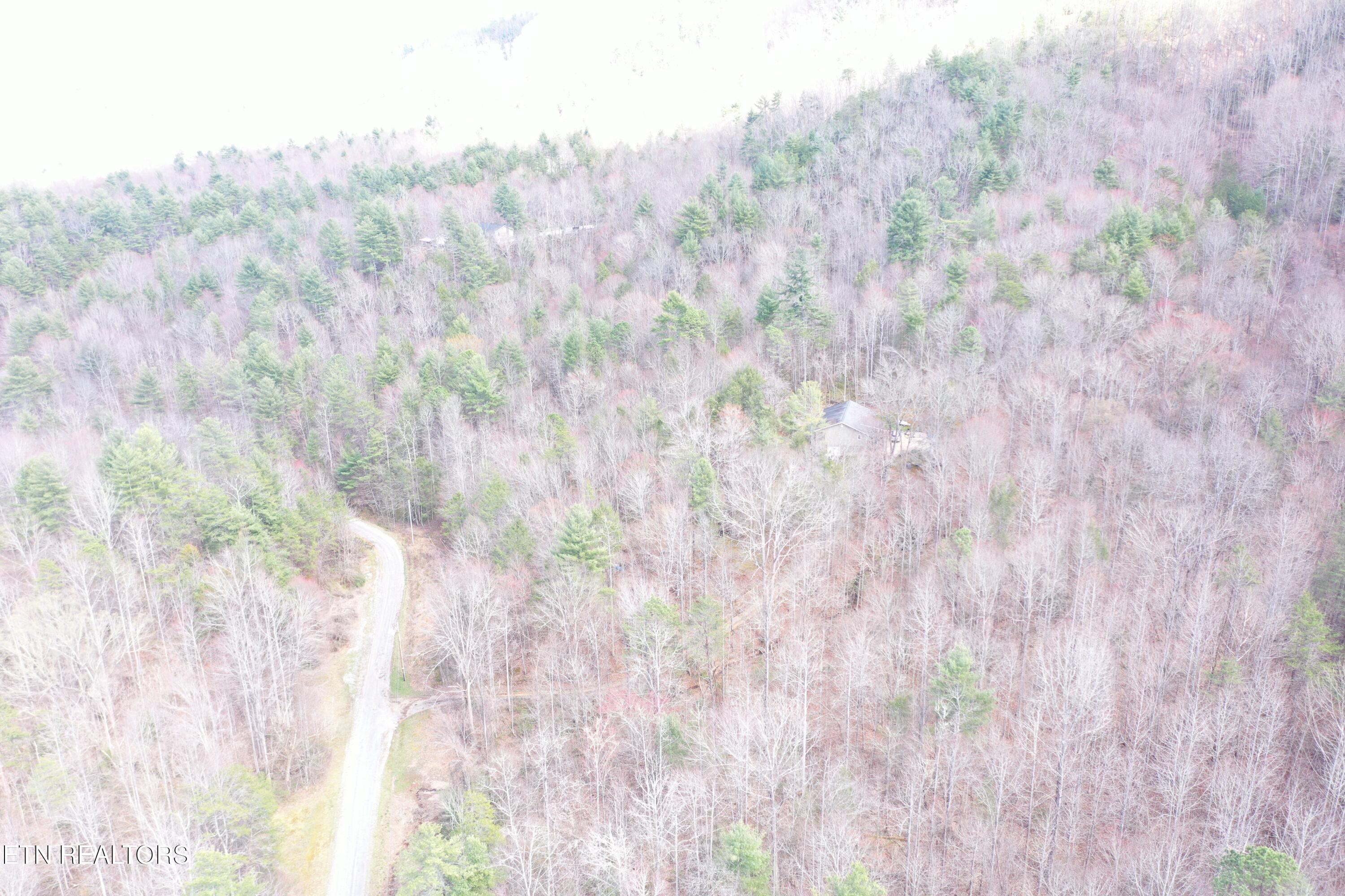 Round Mountain Del Rio TN 37727