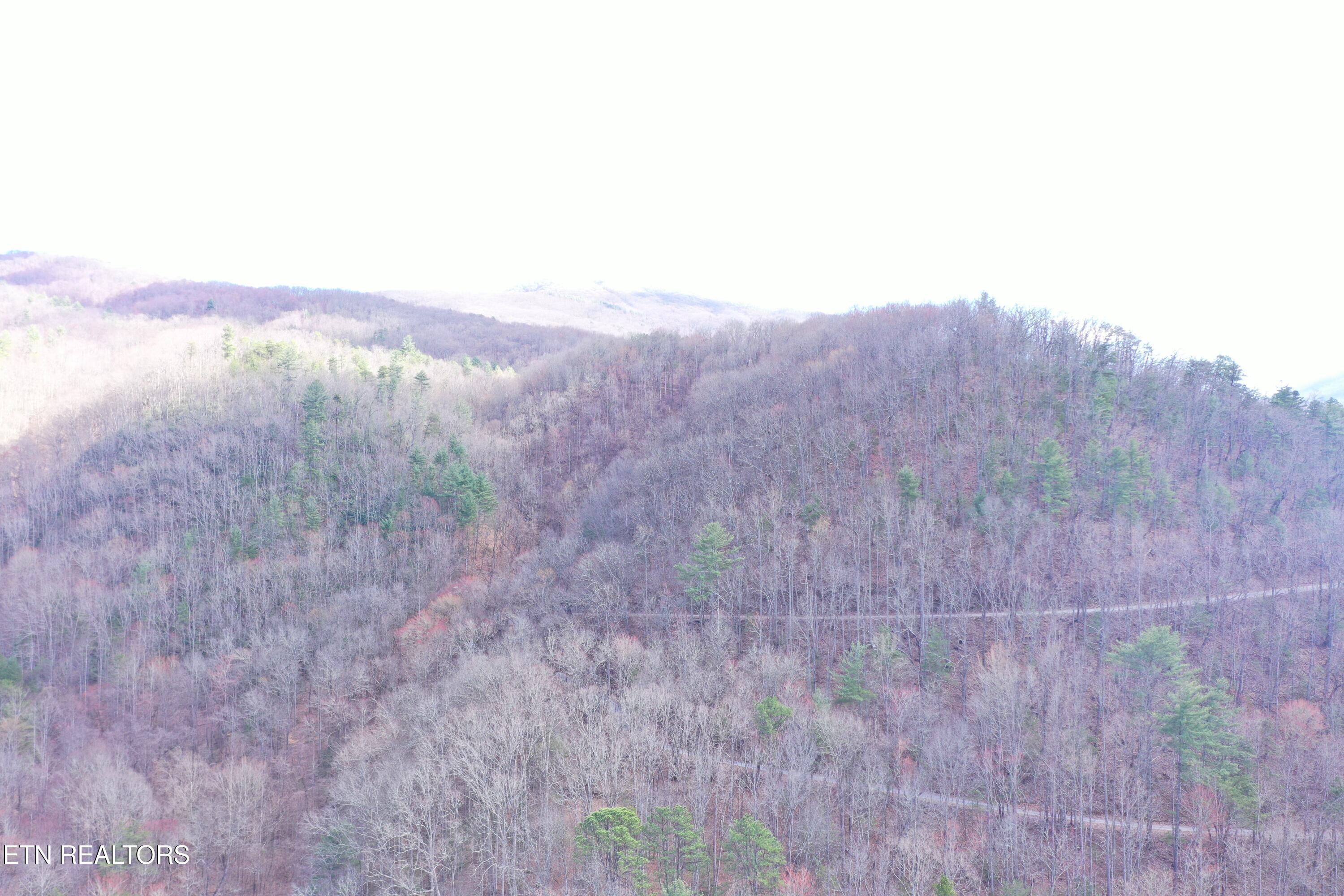 Round Mountain Del Rio TN 37727