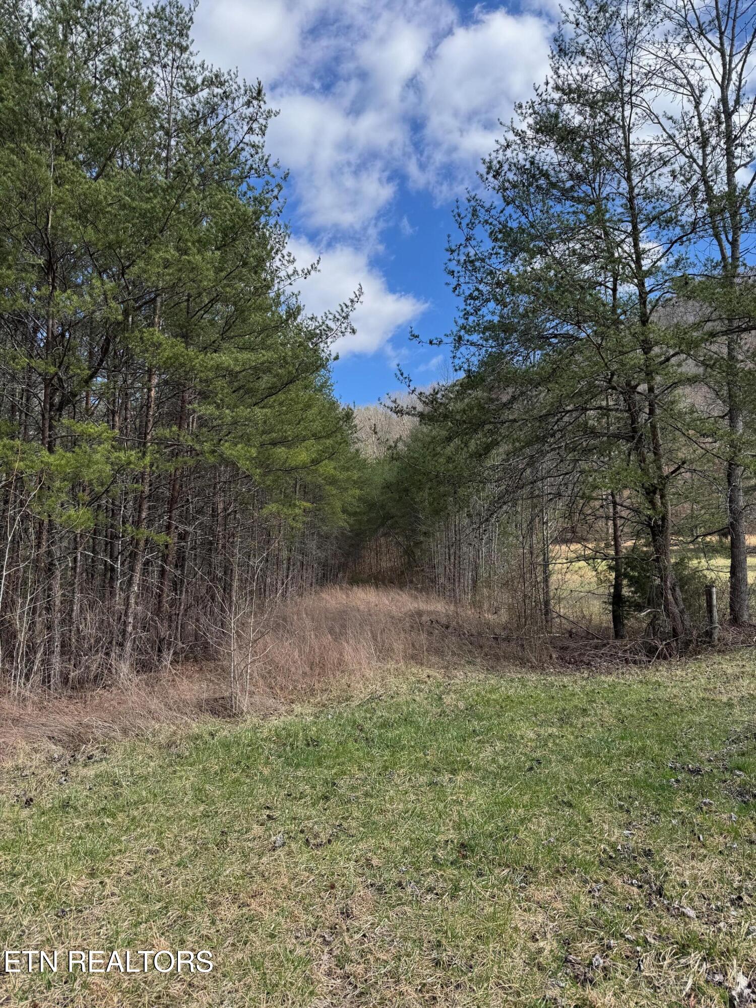 Round Mountain Del Rio TN 37727