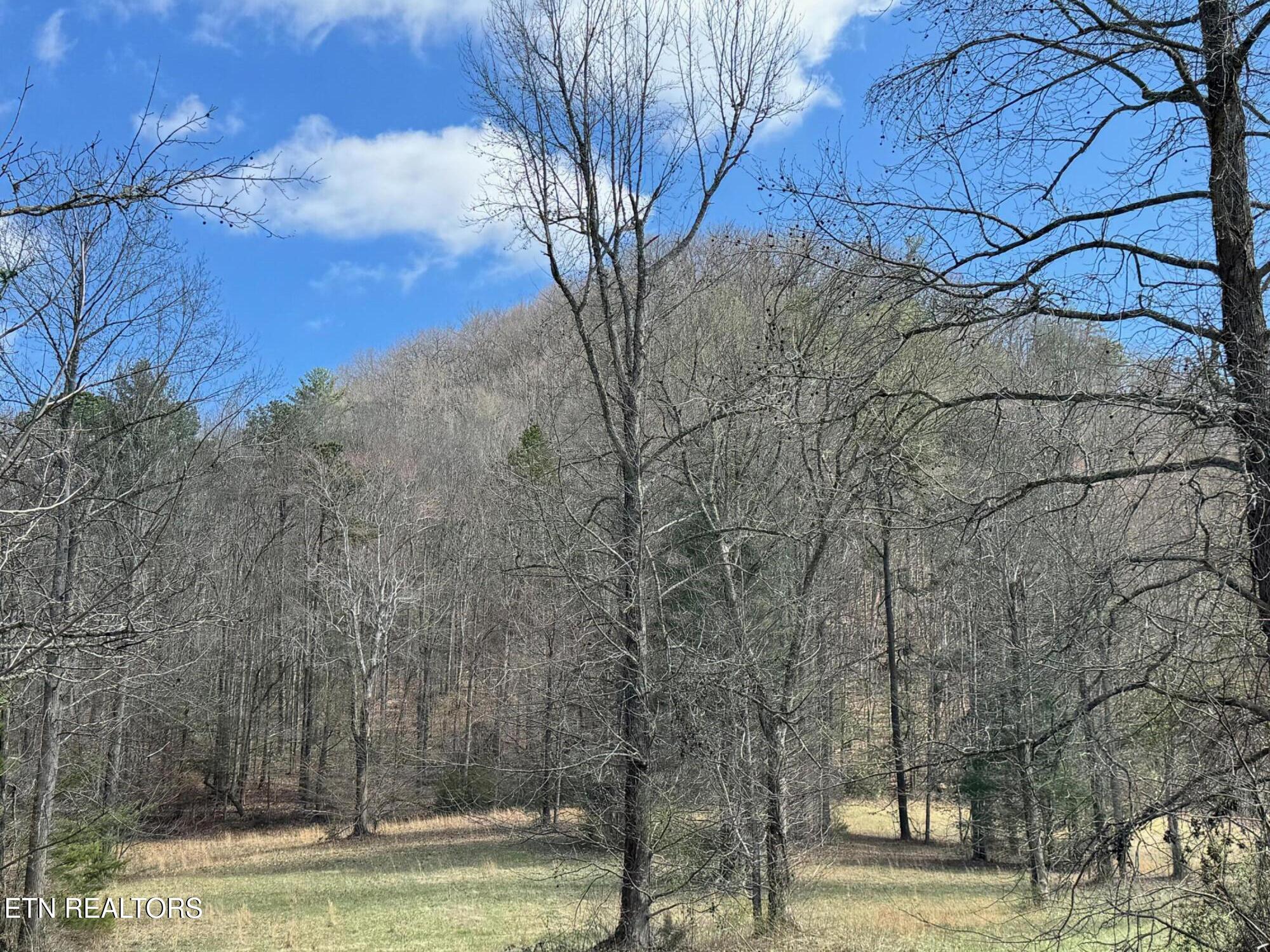 Round Mountain Del Rio TN 37727