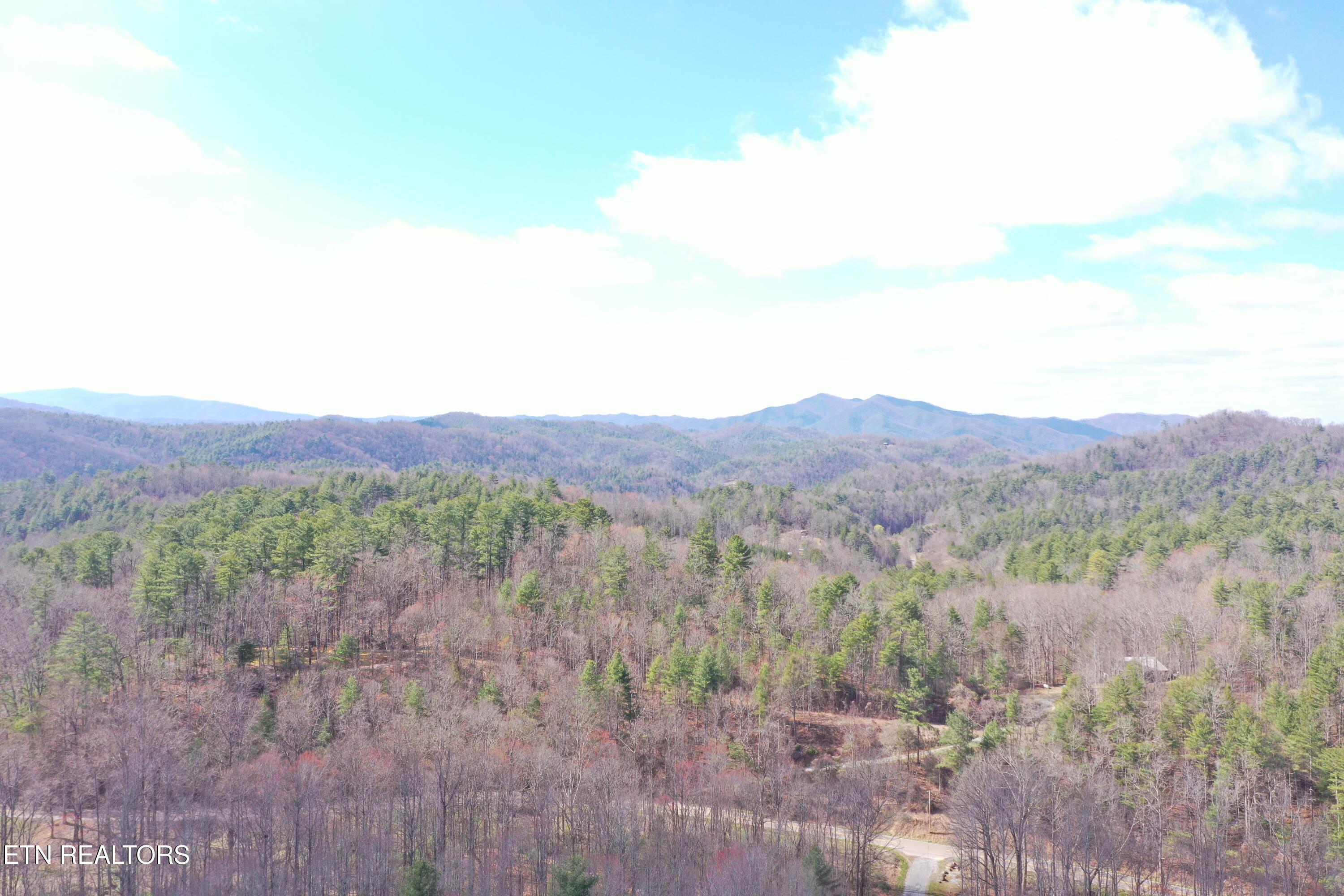 Round Mountain Del Rio TN 37727