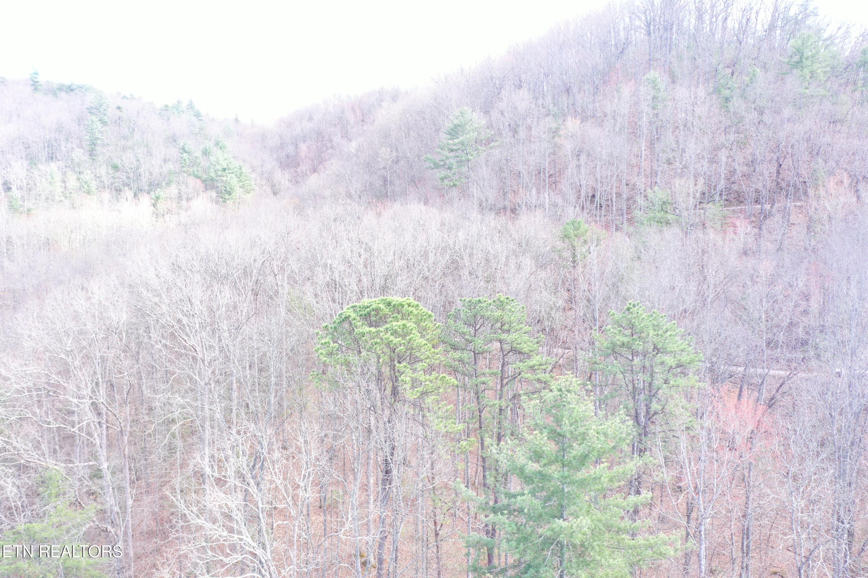 Round Mountain Del Rio TN 37727