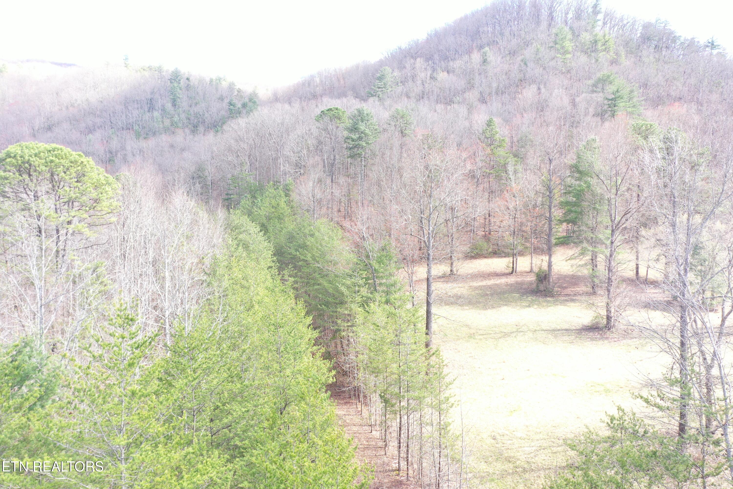 Round Mountain Del Rio TN 37727
