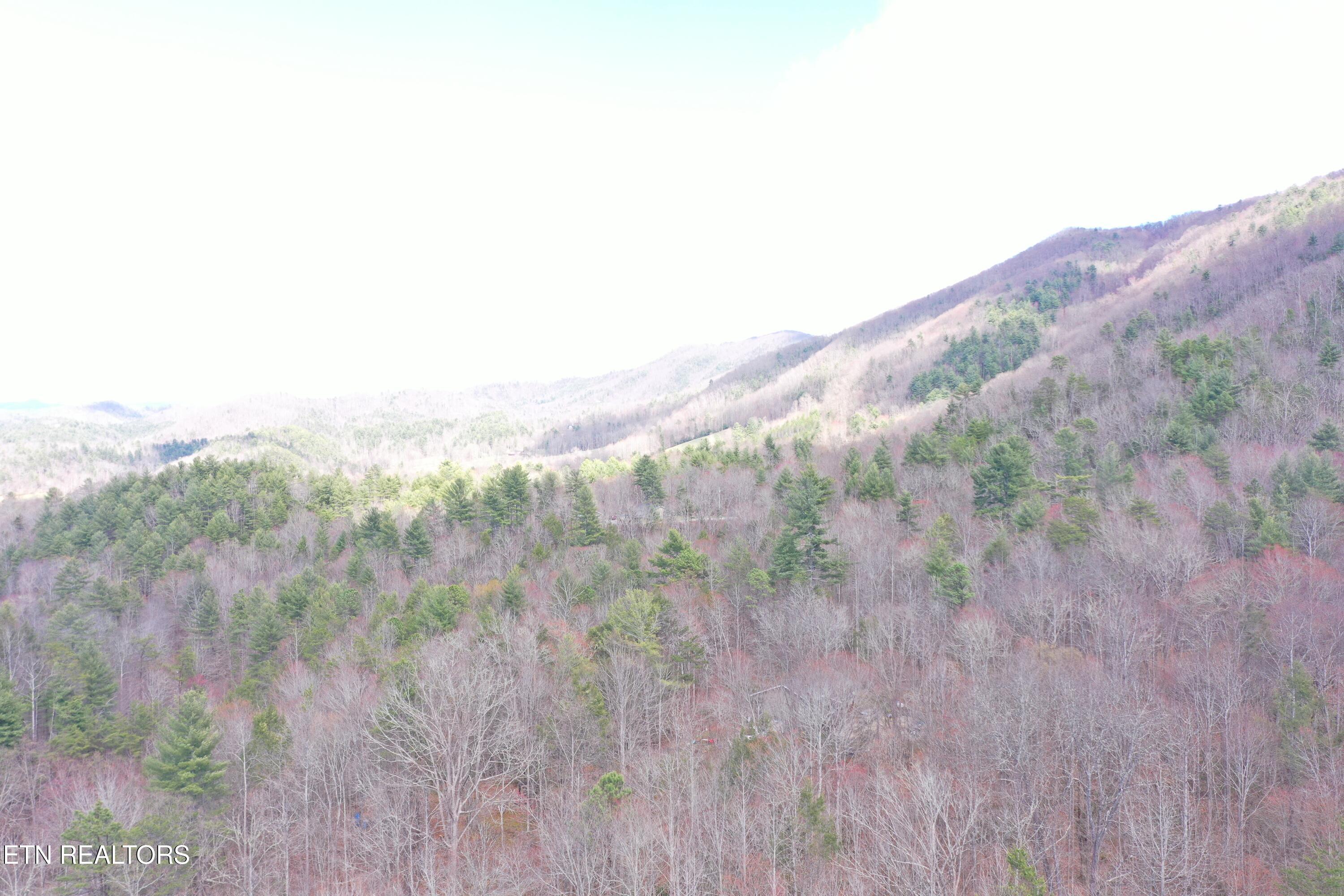 Round Mountain Del Rio TN 37727