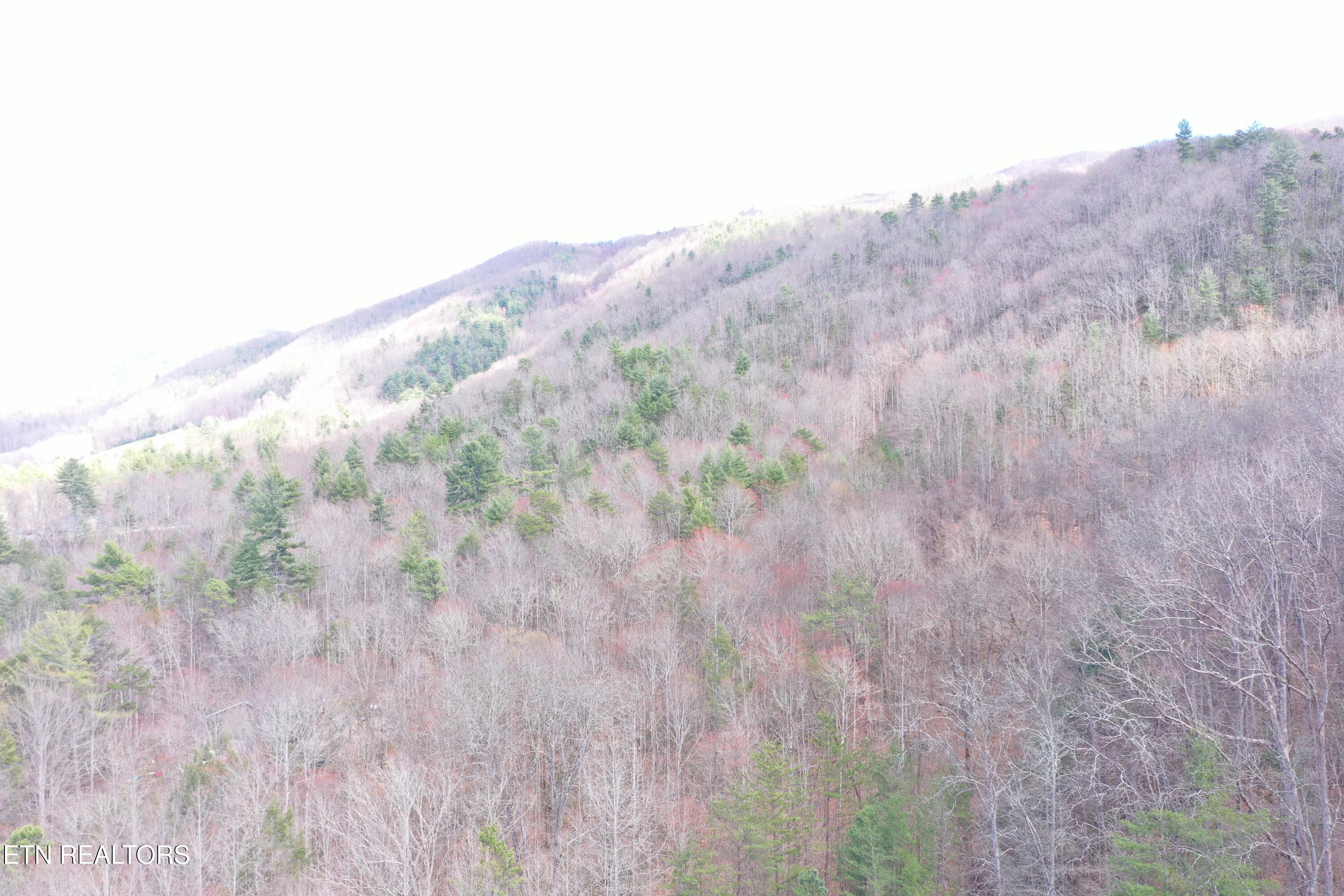 Round Mountain Del Rio TN 37727