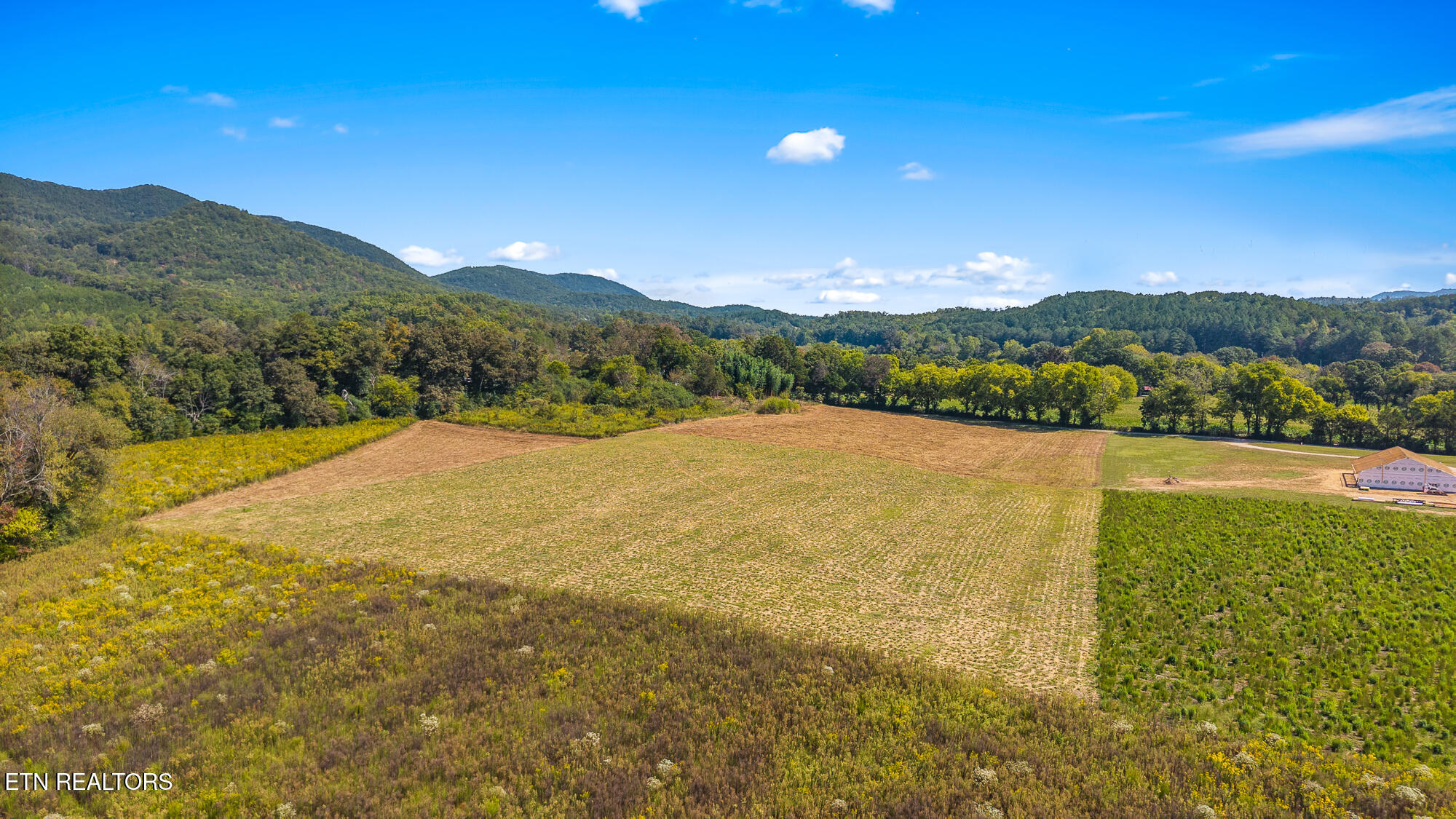 Tree Top Lane Tellico Plains TN 37385