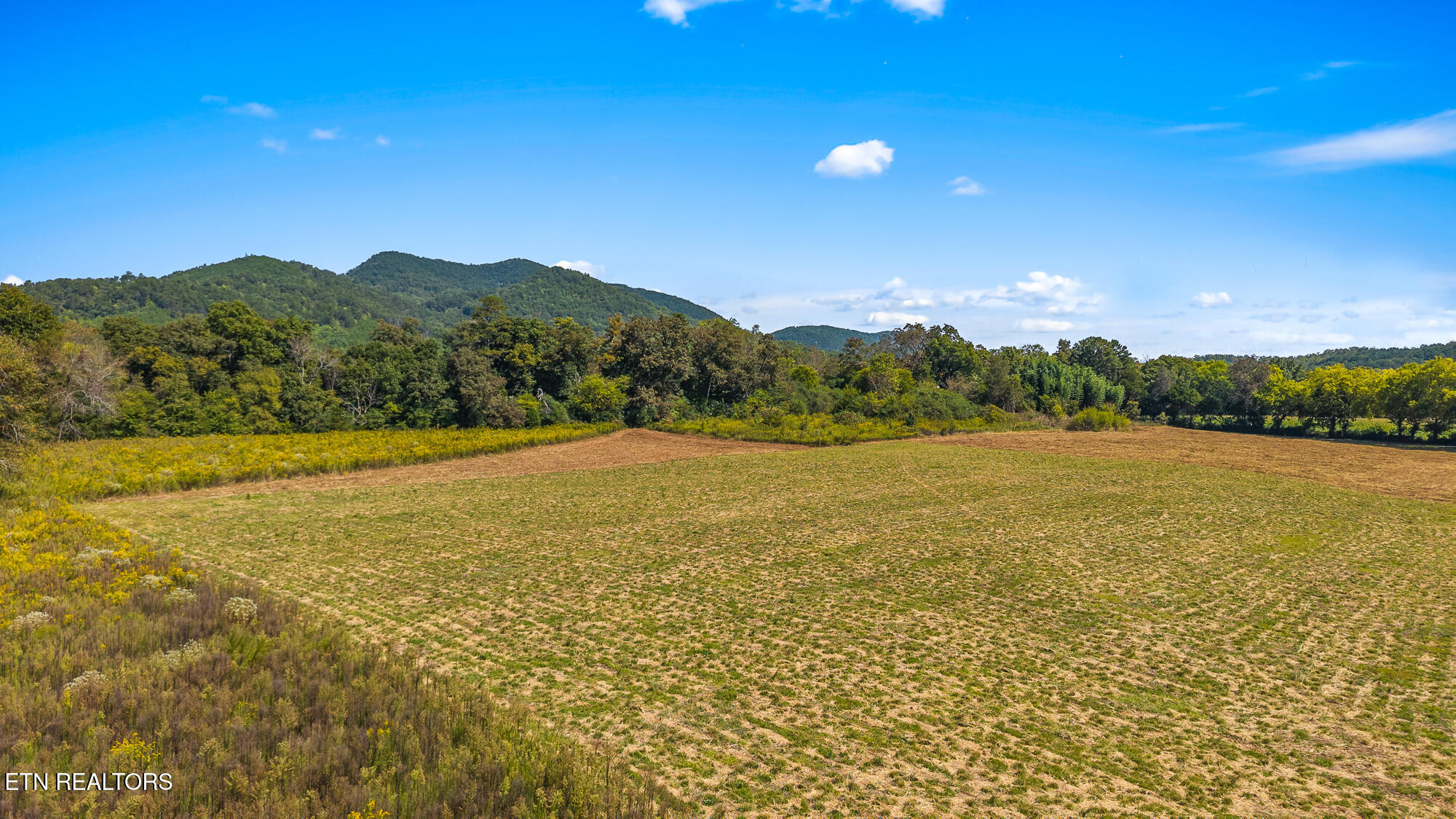 Tree Top Lane Tellico Plains TN 37385
