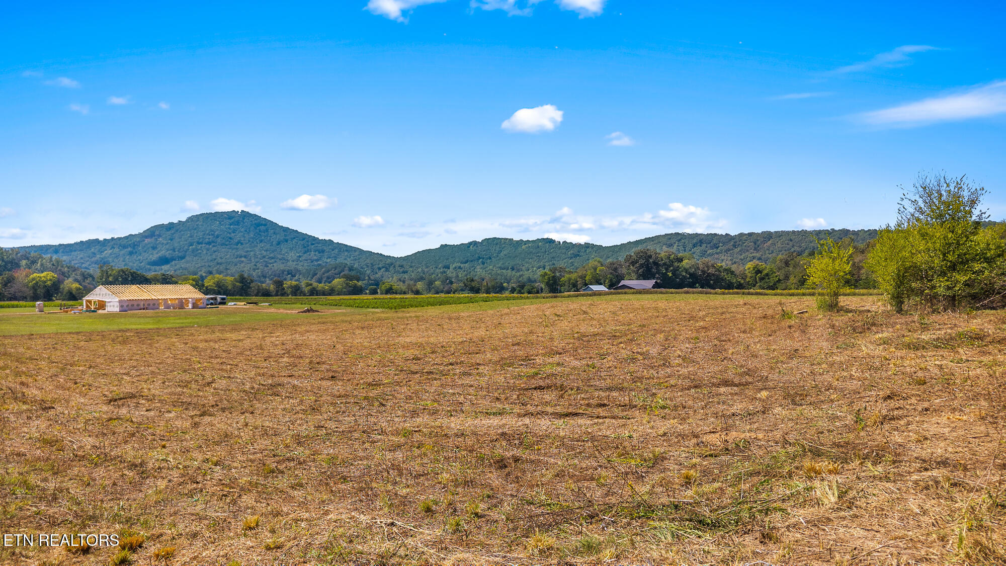 Tree Top Lane Tellico Plains TN 37385