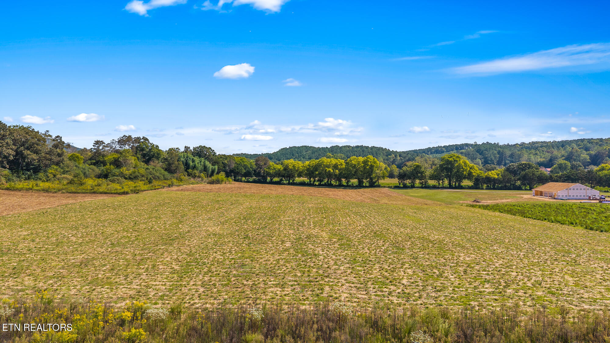 Tree Top Lane Tellico Plains TN 37385