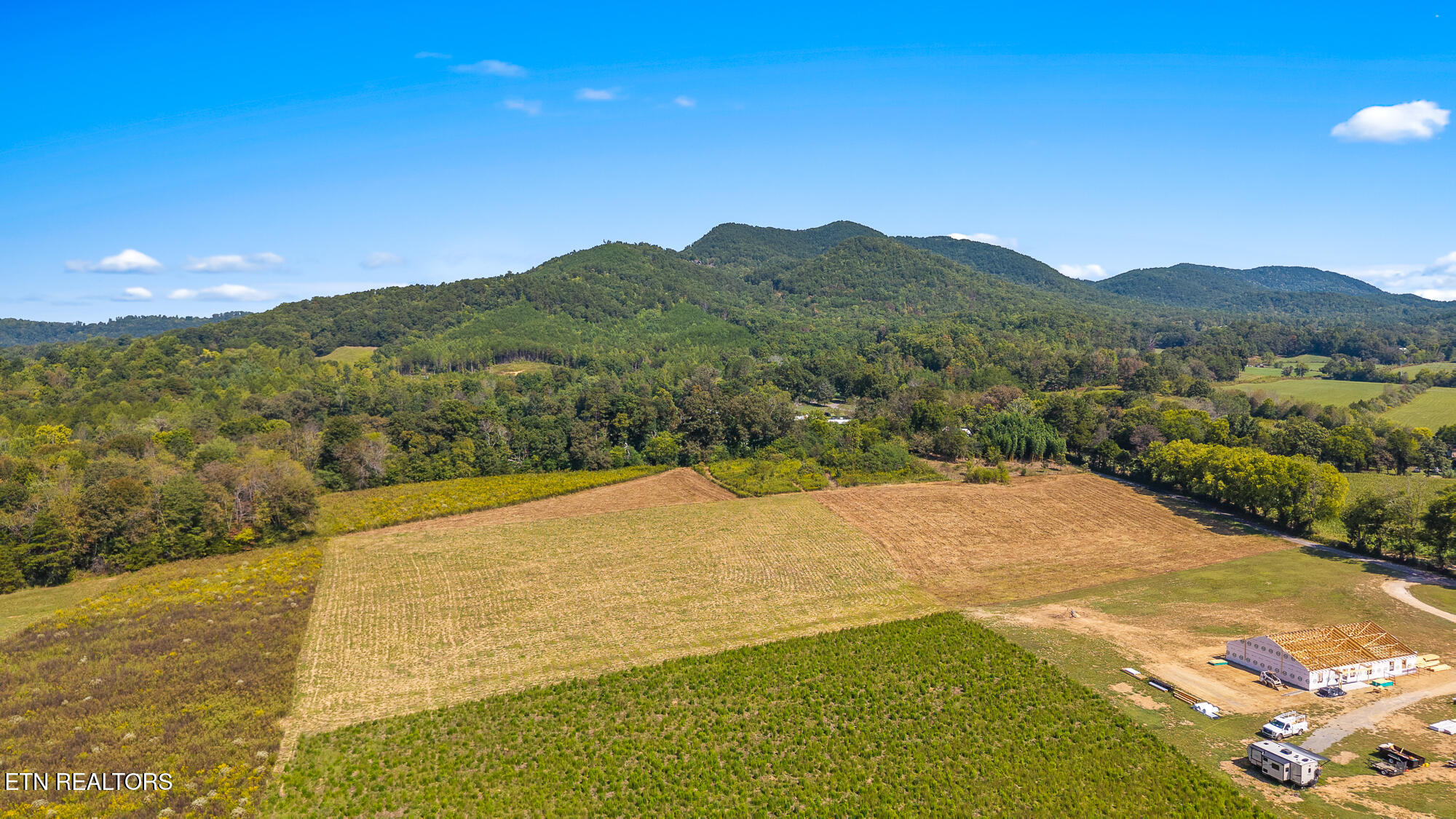 Tree Top Lane Tellico Plains TN 37385