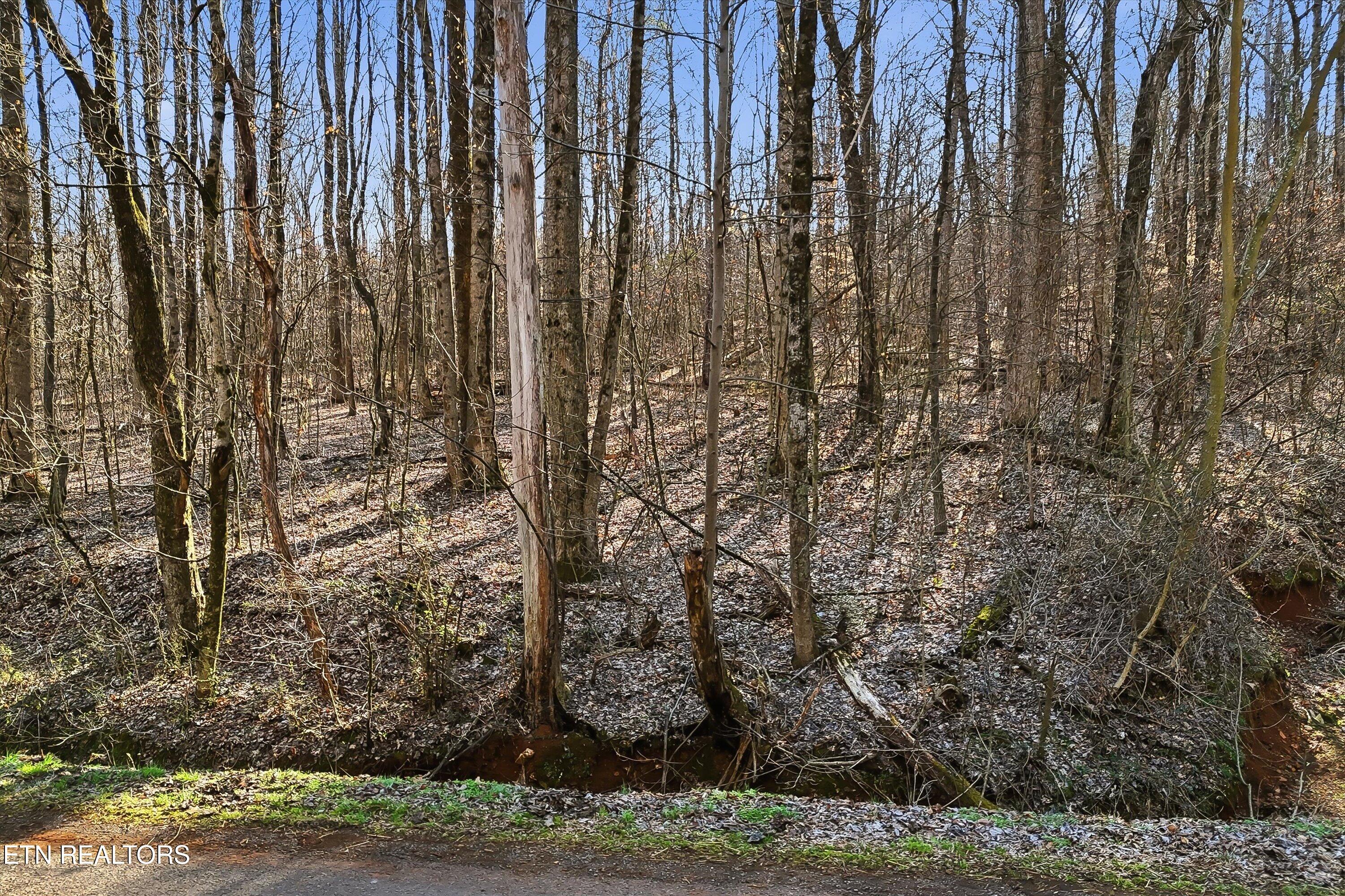 Randolph Fridley Road Sweetwater TN 37874
