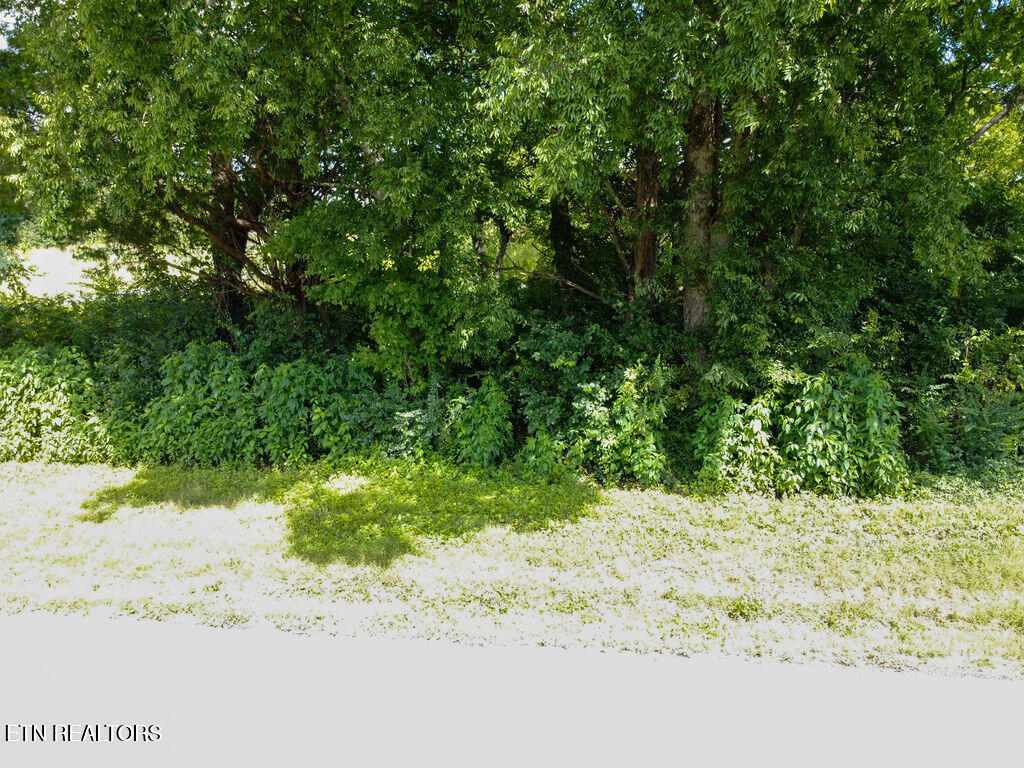 156 County Road 436 Athens TN 37303