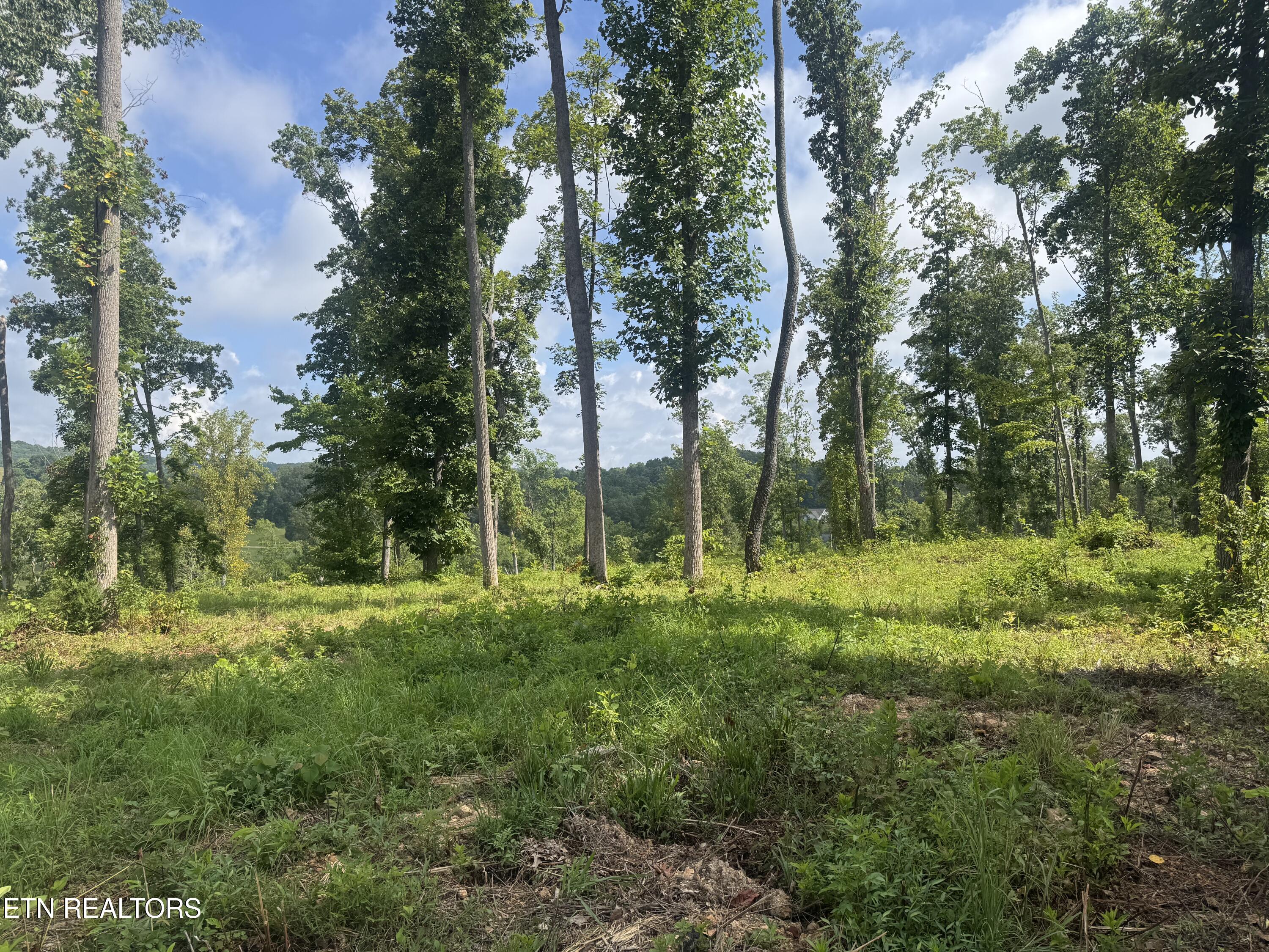 Tract 1 Mill Creek Road Andersonville TN 37705
