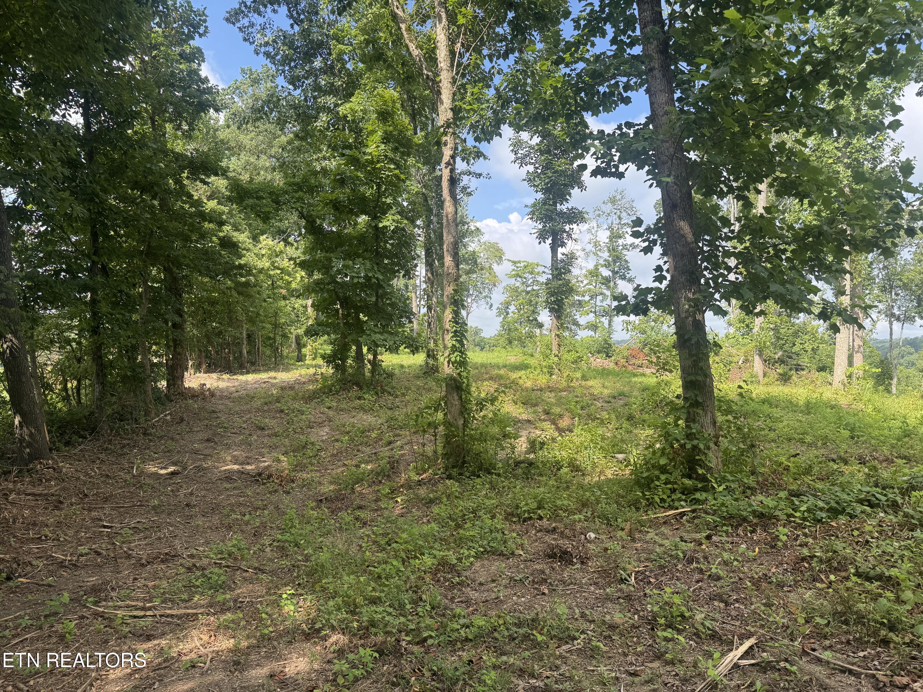 Tract 1 Mill Creek Road Andersonville TN 37705