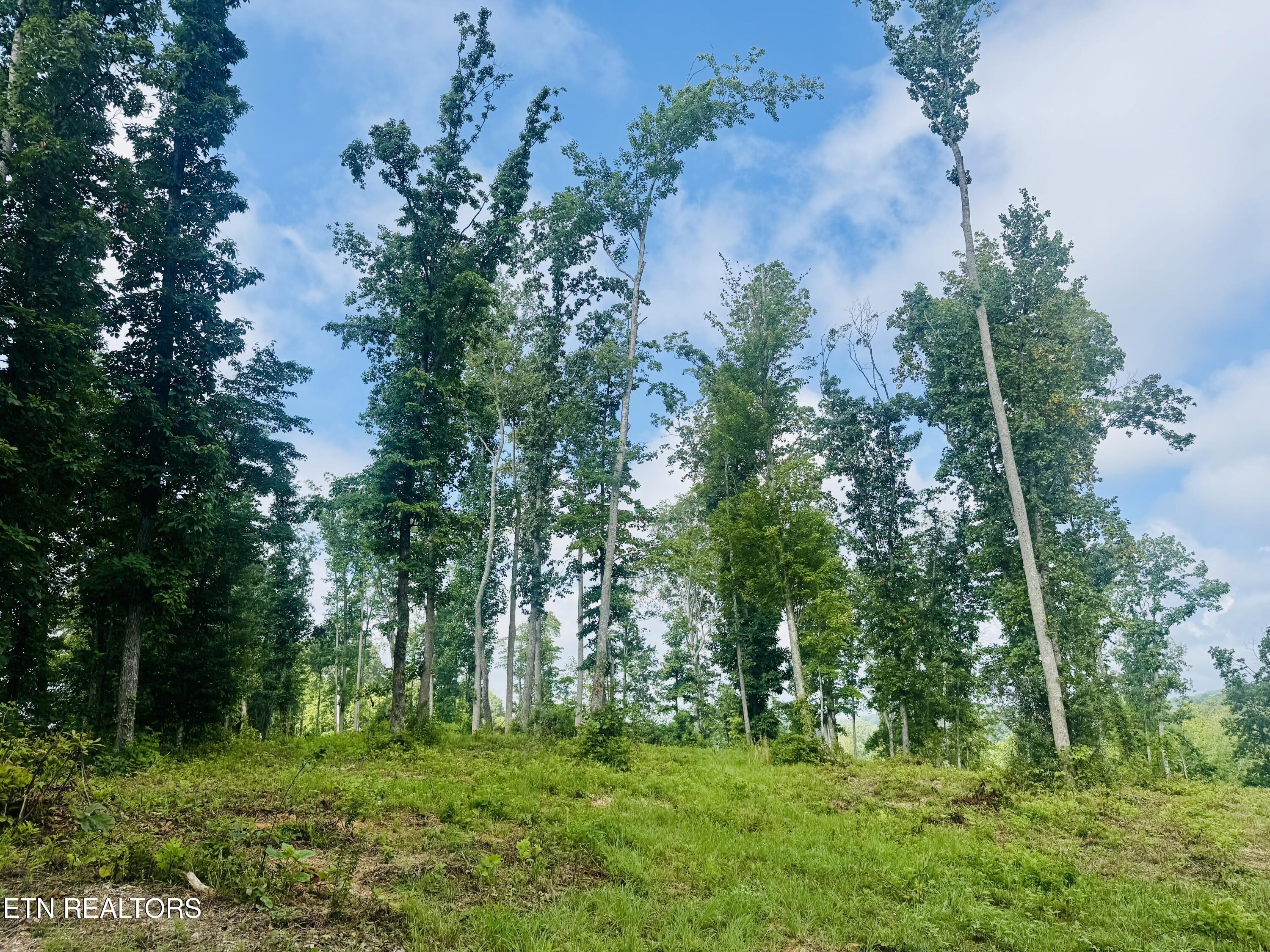 Tract 1 Mill Creek Road Andersonville TN 37705