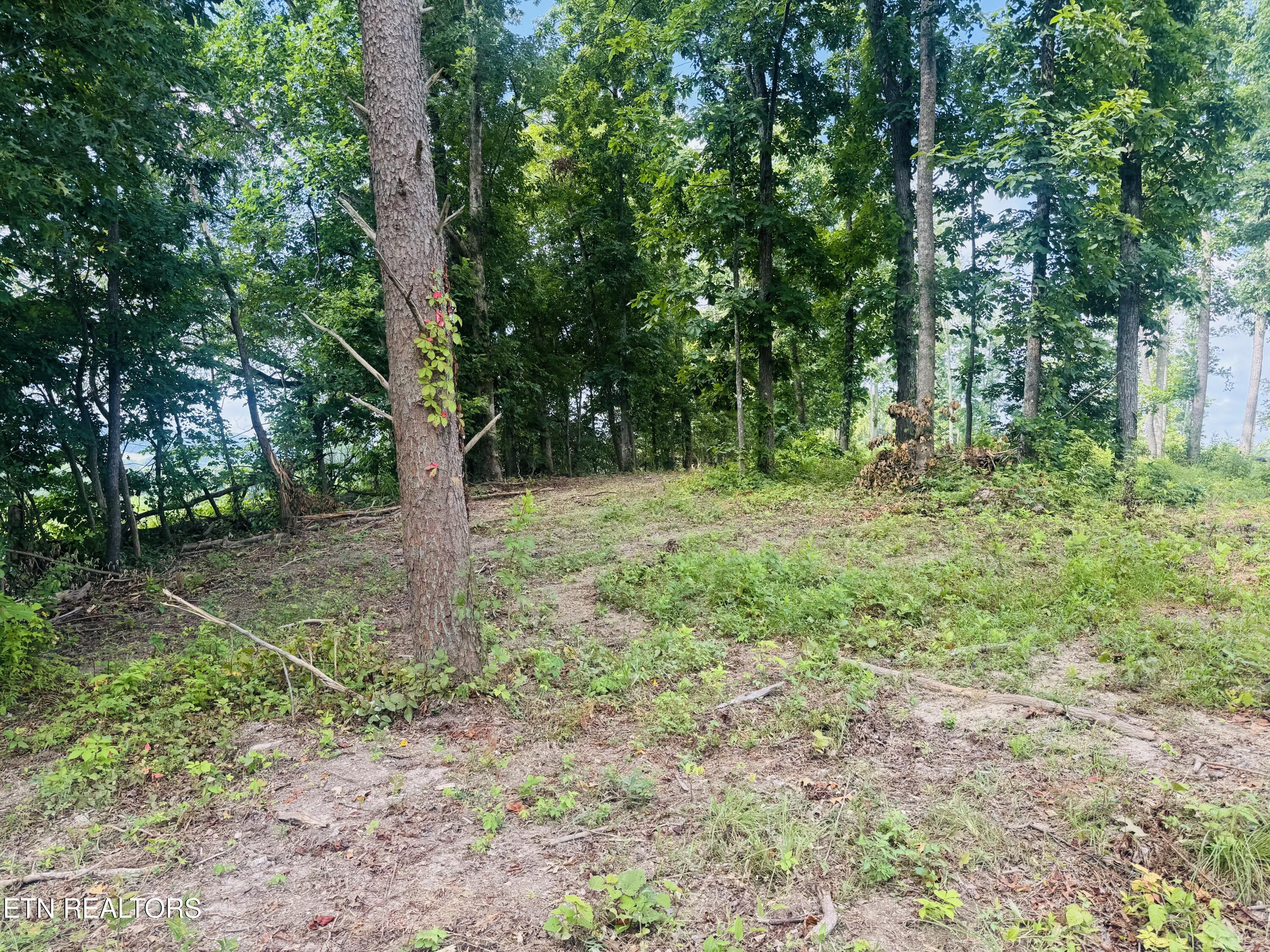 Tract 1 Mill Creek Road Andersonville TN 37705