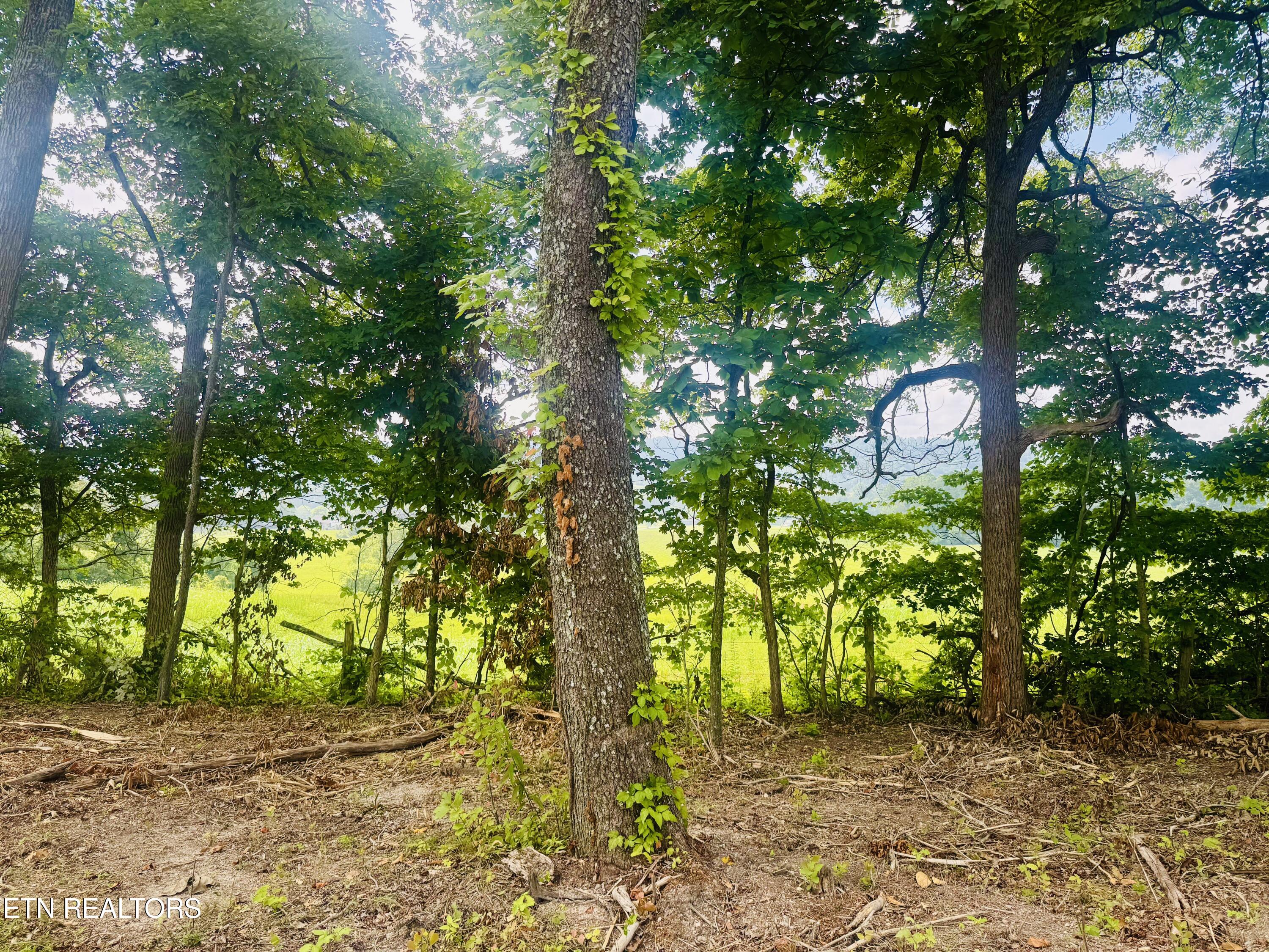 Tract 1 Mill Creek Road Andersonville TN 37705