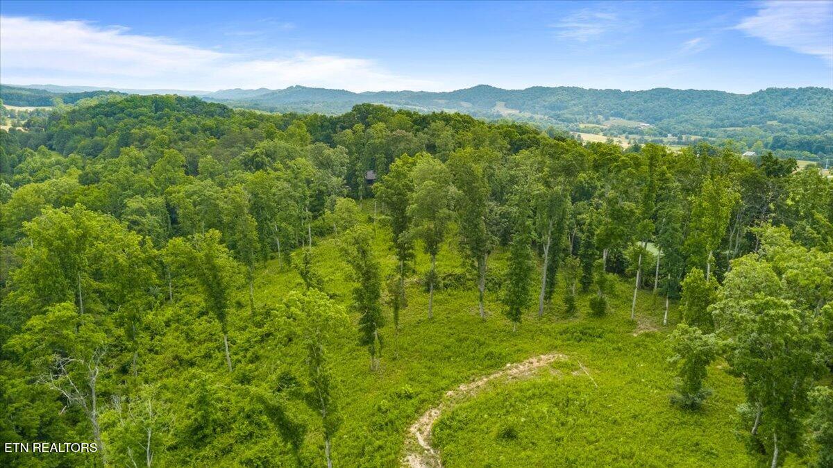 Tract 1 Mill Creek Road Andersonville TN 37705