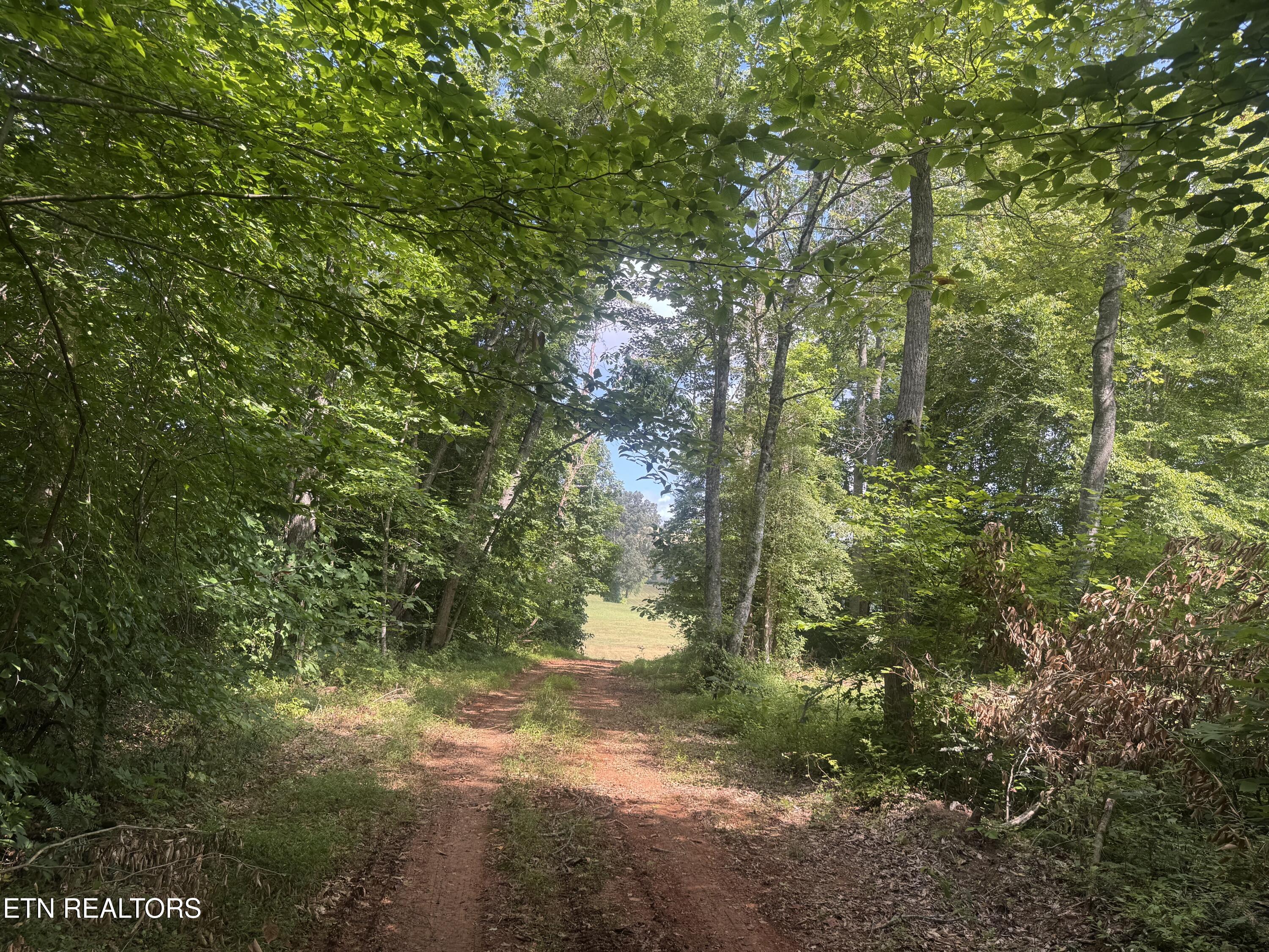 Tract 1 Mill Creek Road Andersonville TN 37705