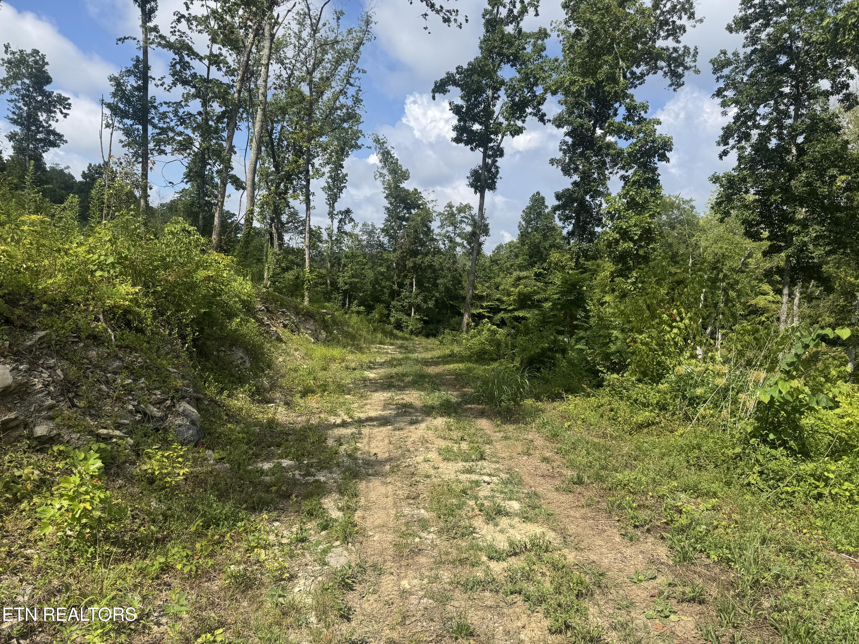 Tract 1 Mill Creek Road Andersonville TN 37705