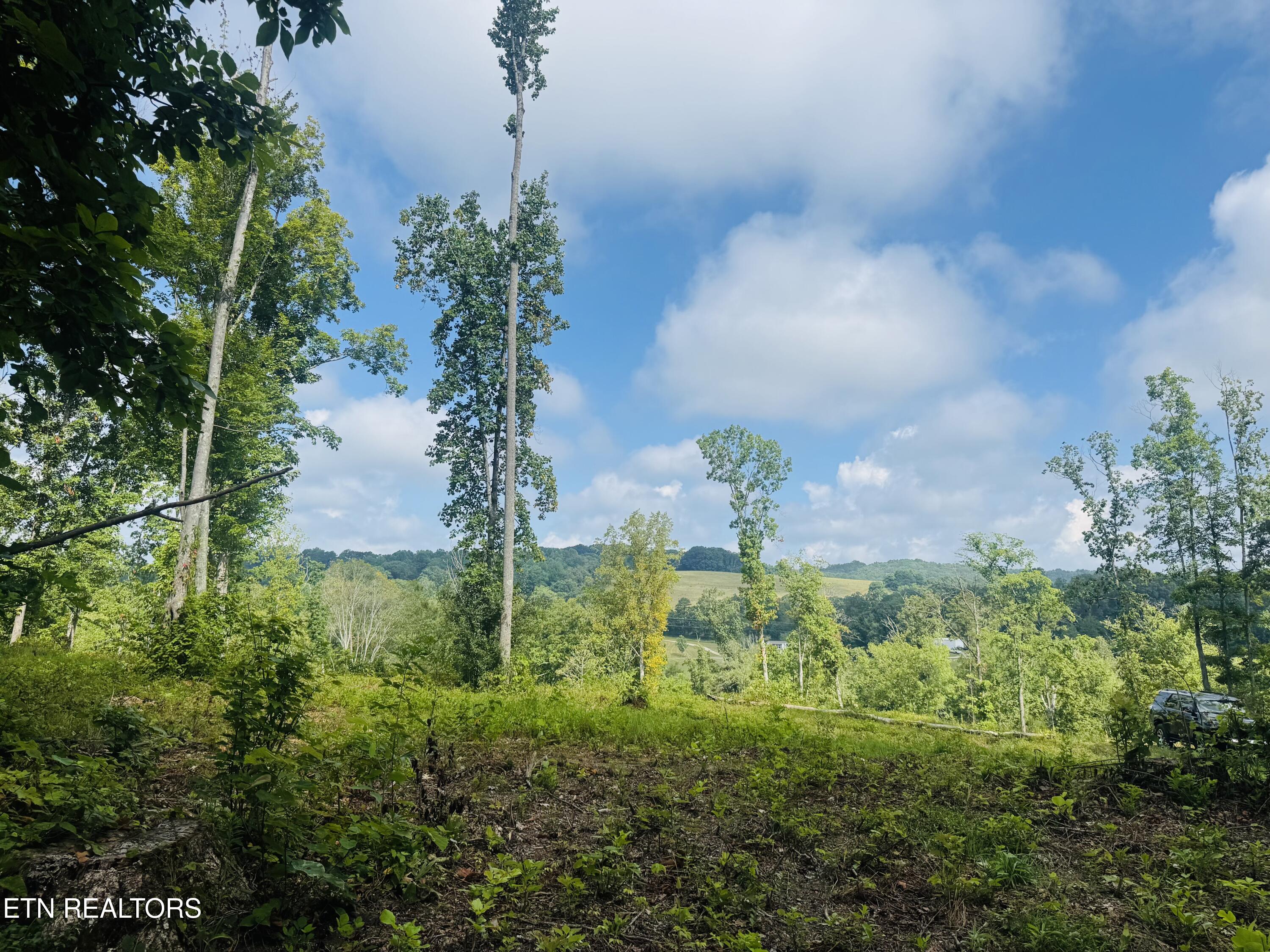 Tract 1 Mill Creek Road Andersonville TN 37705