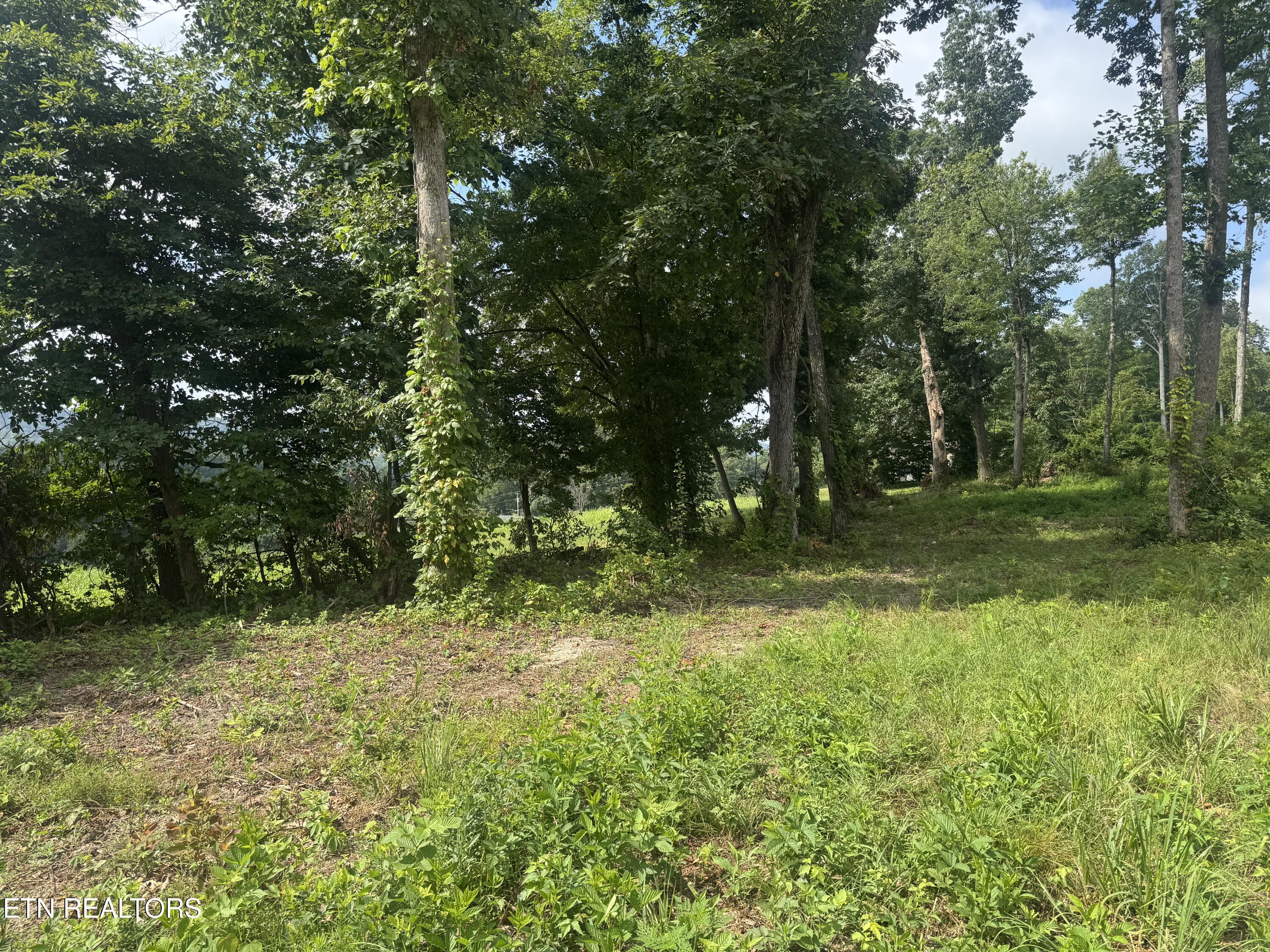 Tract 1 Mill Creek Road Andersonville TN 37705
