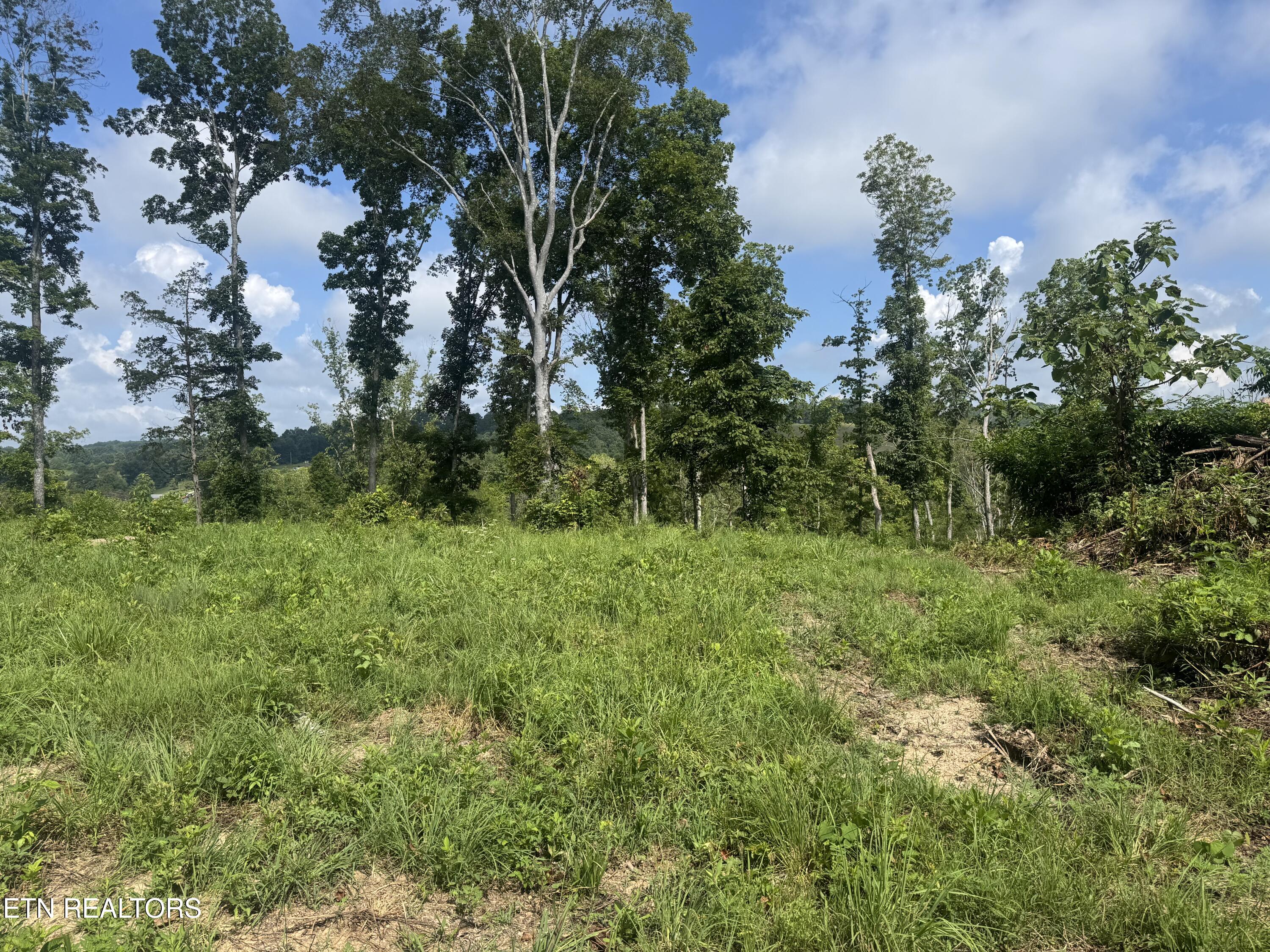 Tract 1 Mill Creek Road Andersonville TN 37705