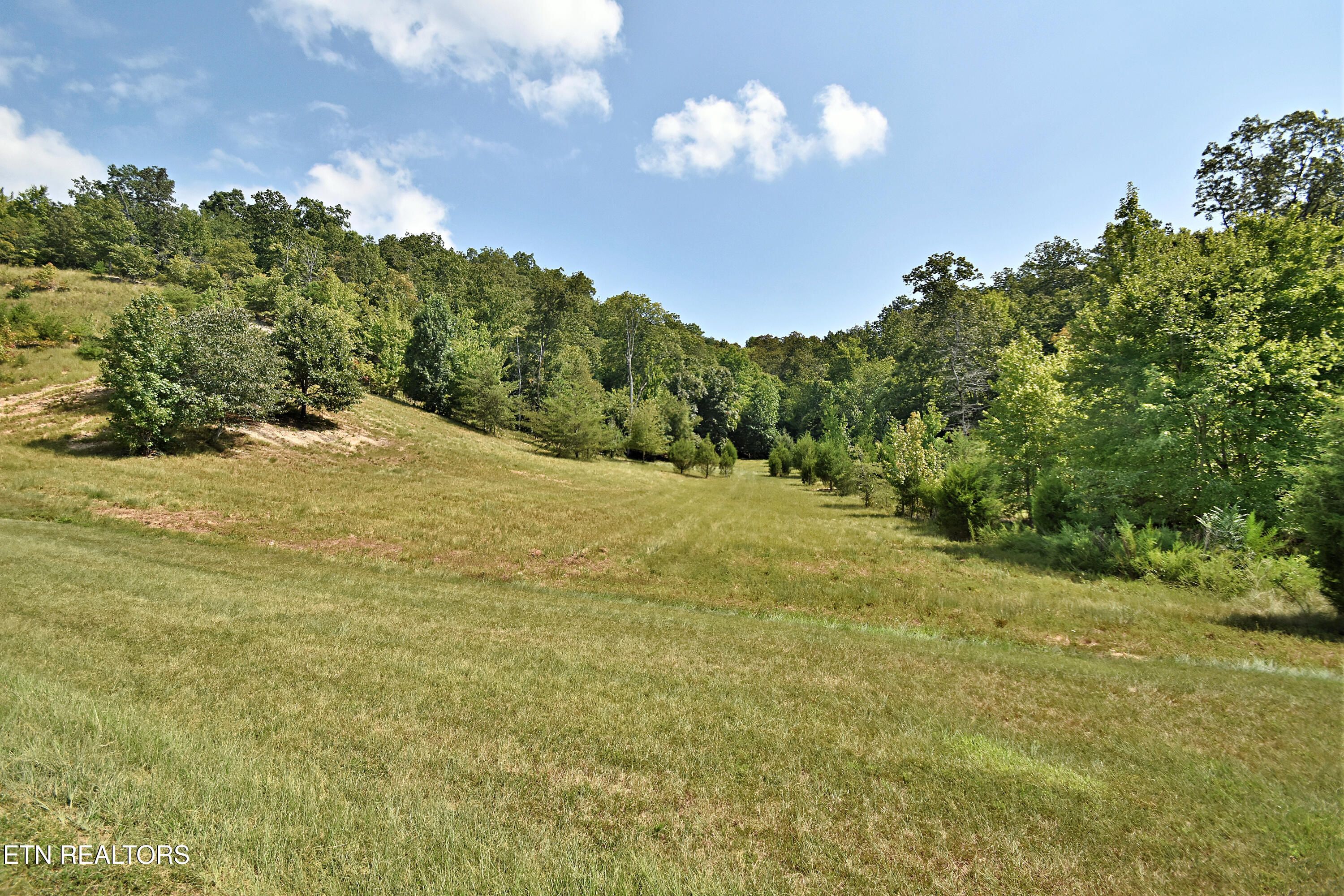 Lot 398 W Mountain Drive Rockwood TN 37854