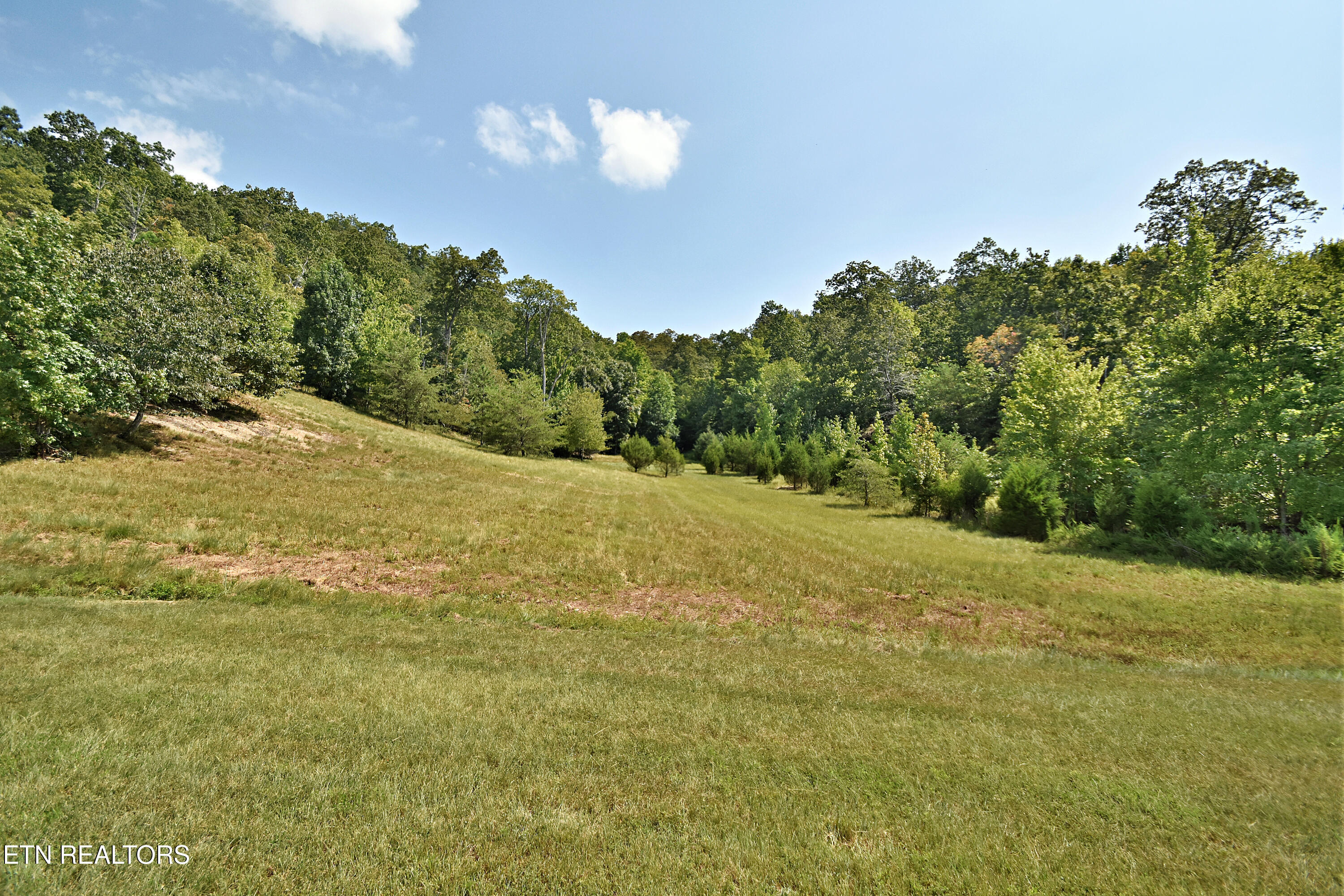 Lot 398 W Mountain Drive Rockwood TN 37854