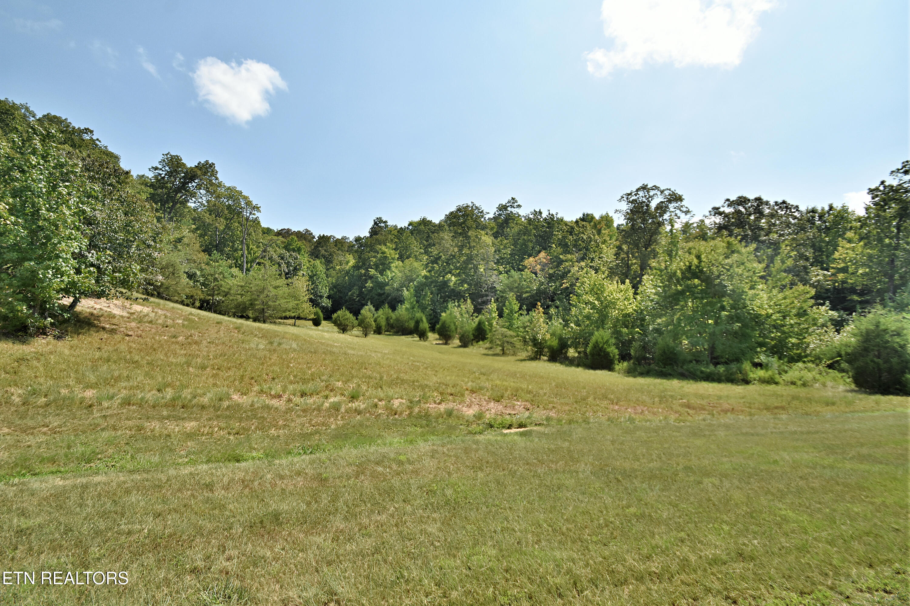 Lot 398 W Mountain Drive Rockwood TN 37854
