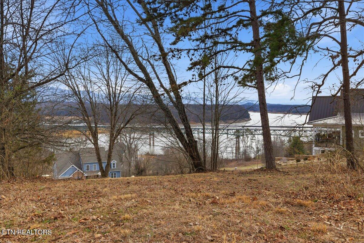 Lot 39 Buckhead Trail White Pine TN 37890