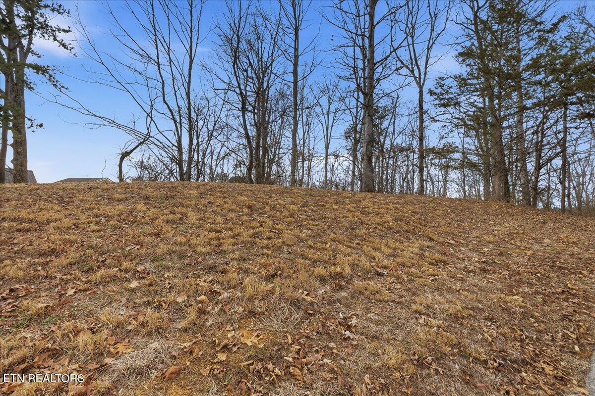 Lot 39 Buckhead Trail White Pine TN 37890