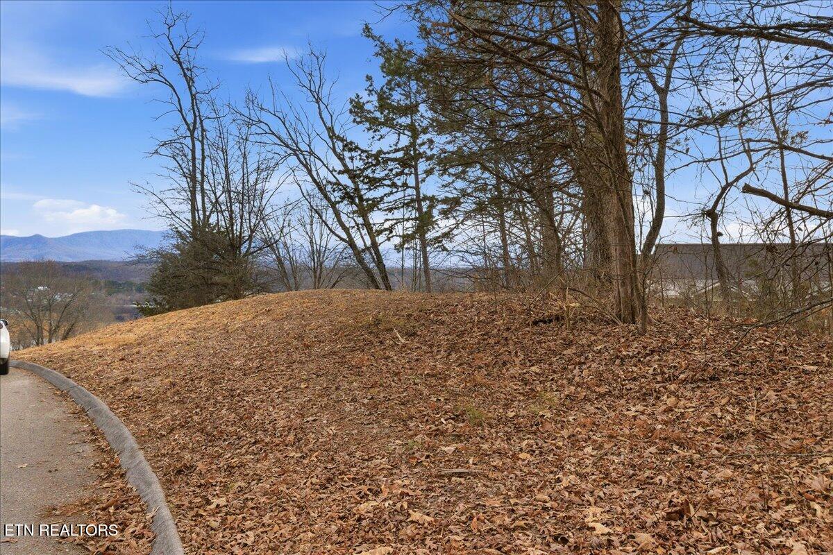 Lot 39 Buckhead Trail White Pine TN 37890