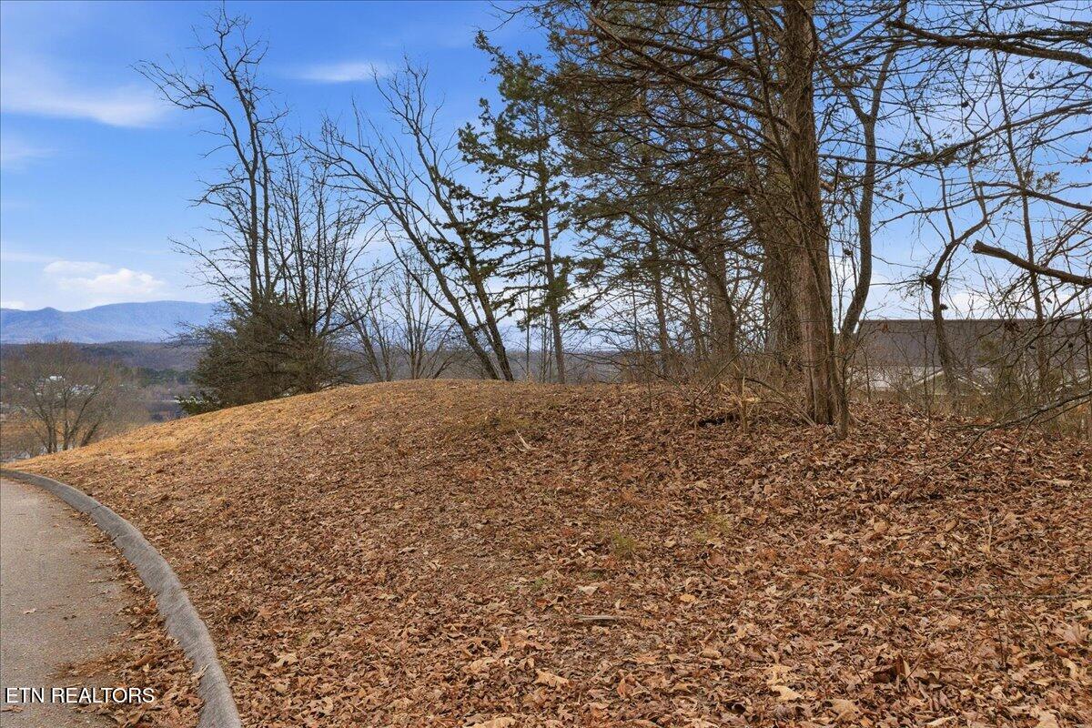 Lot 39 Buckhead Trail White Pine TN 37890
