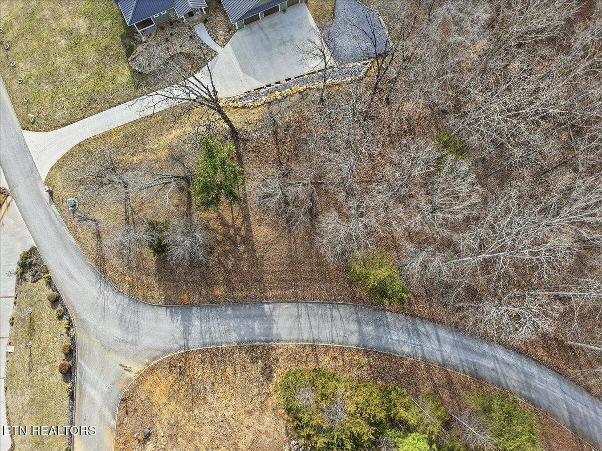 Lot 39 Buckhead Trail White Pine TN 37890