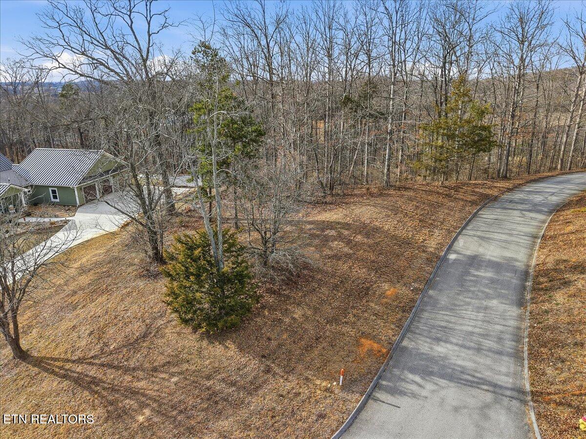 Lot 39 Buckhead Trail White Pine TN 37890