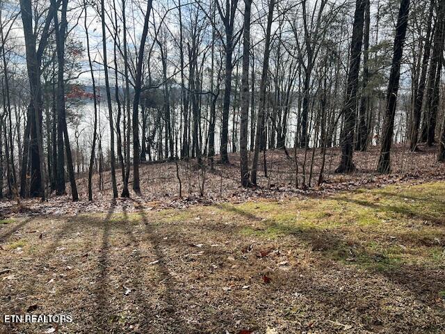 E Shore Lot 117 Drive Rockwood TN 37854
