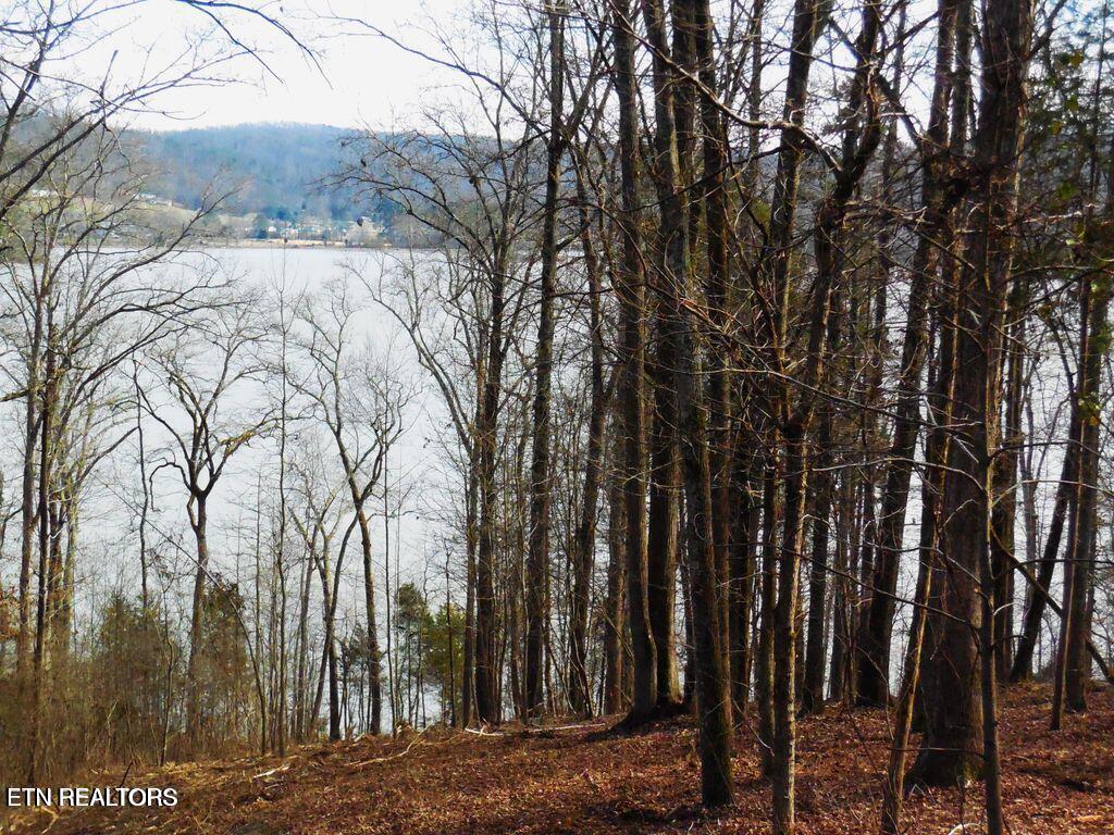 E Shore Lot 117 Drive Rockwood TN 37854