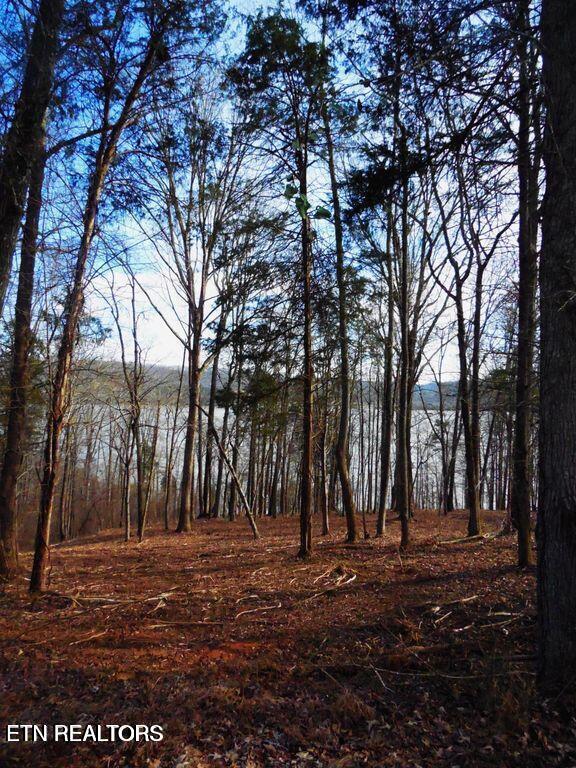 E Shore Lot 117 Drive Rockwood TN 37854