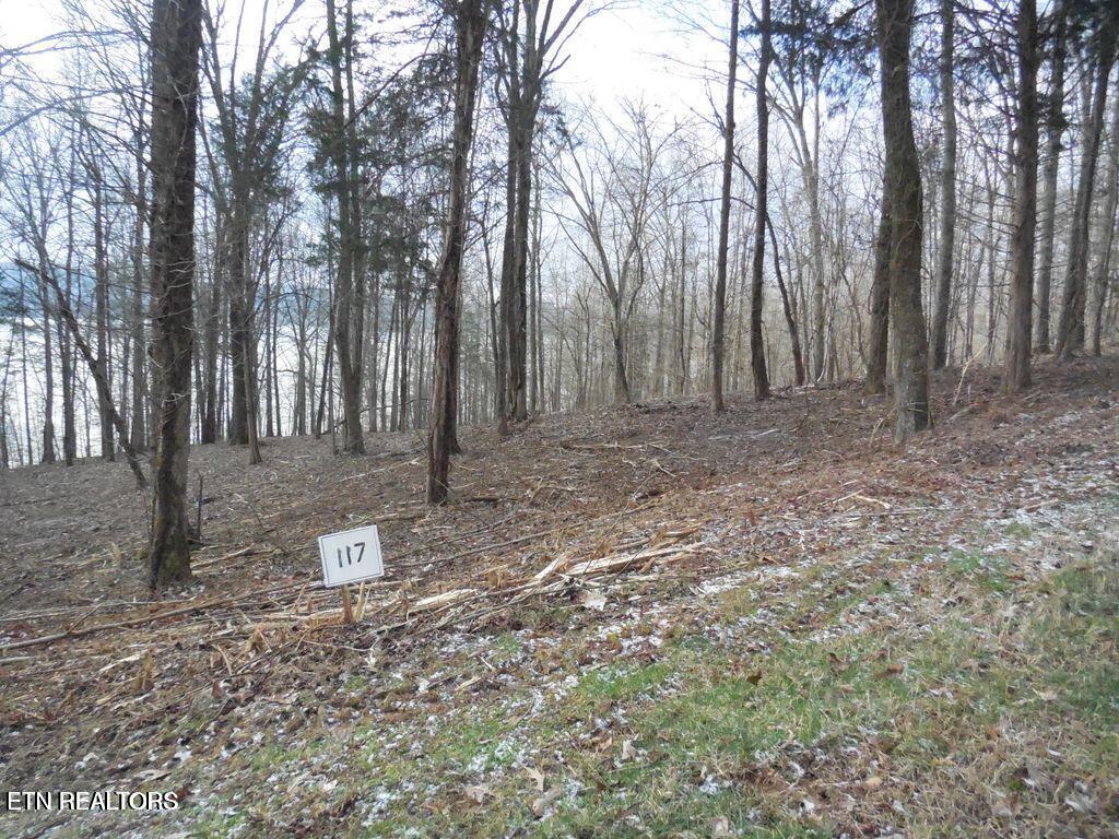 E Shore Lot 117 Drive Rockwood TN 37854