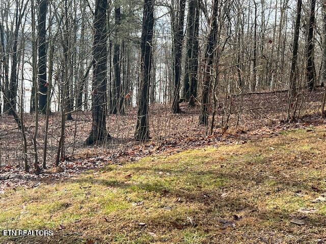 E Shore Lot 117 Drive Rockwood TN 37854
