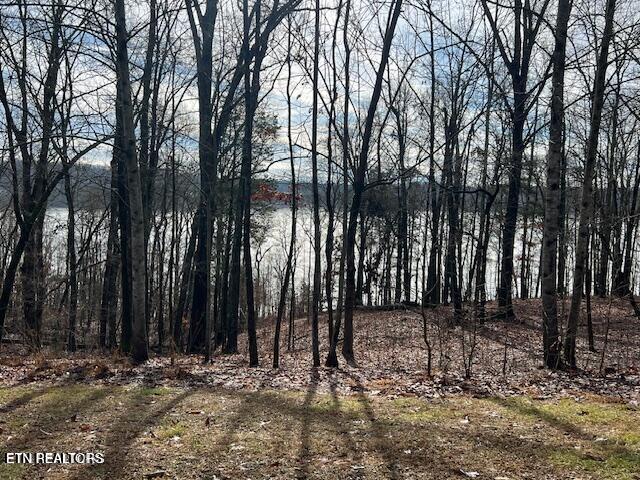 E Shore Lot 117 Drive Rockwood TN 37854