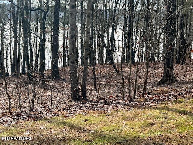 E Shore Lot 117 Drive Rockwood TN 37854
