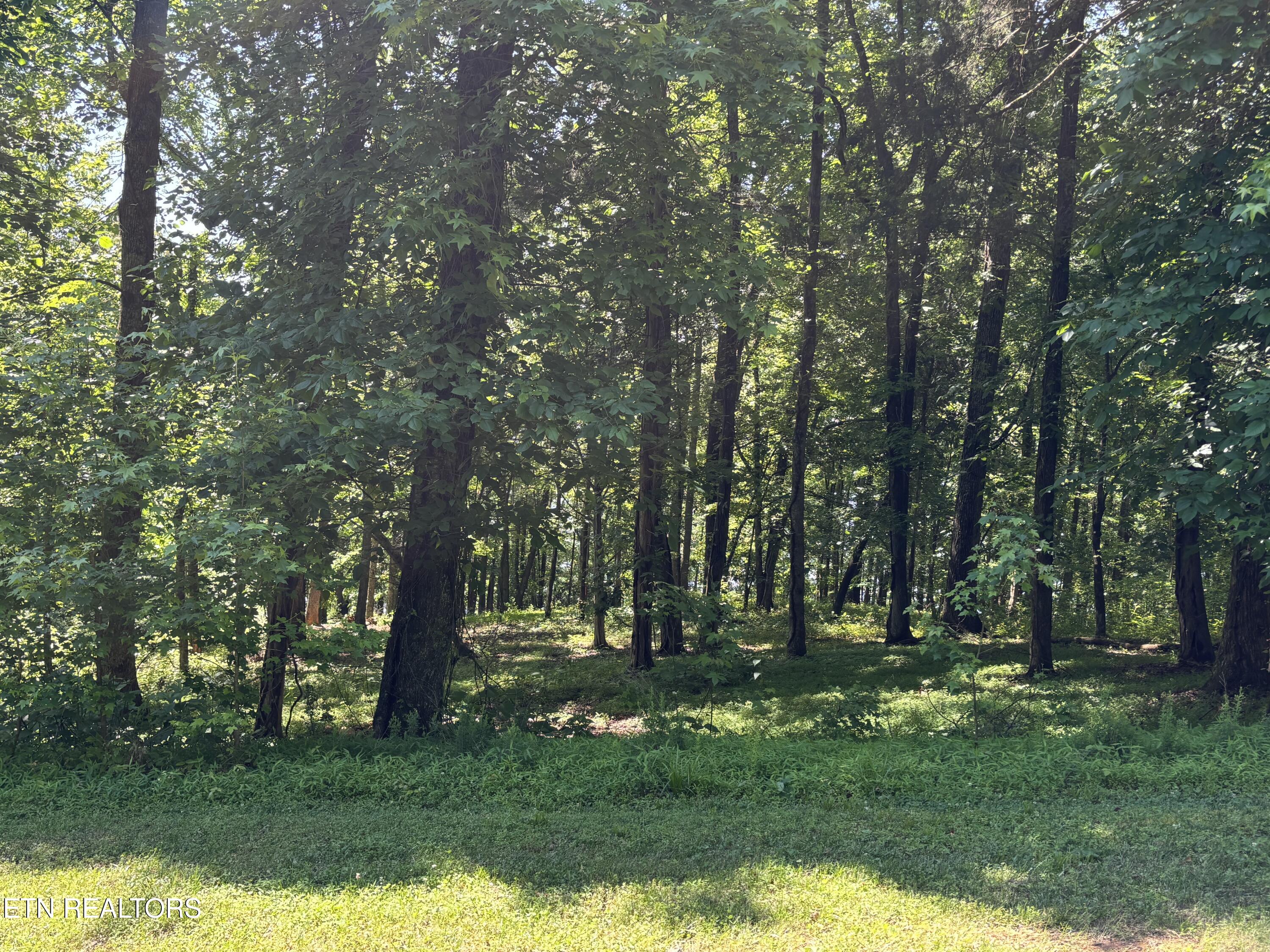 E Shore Lot 117 Drive Rockwood TN 37854