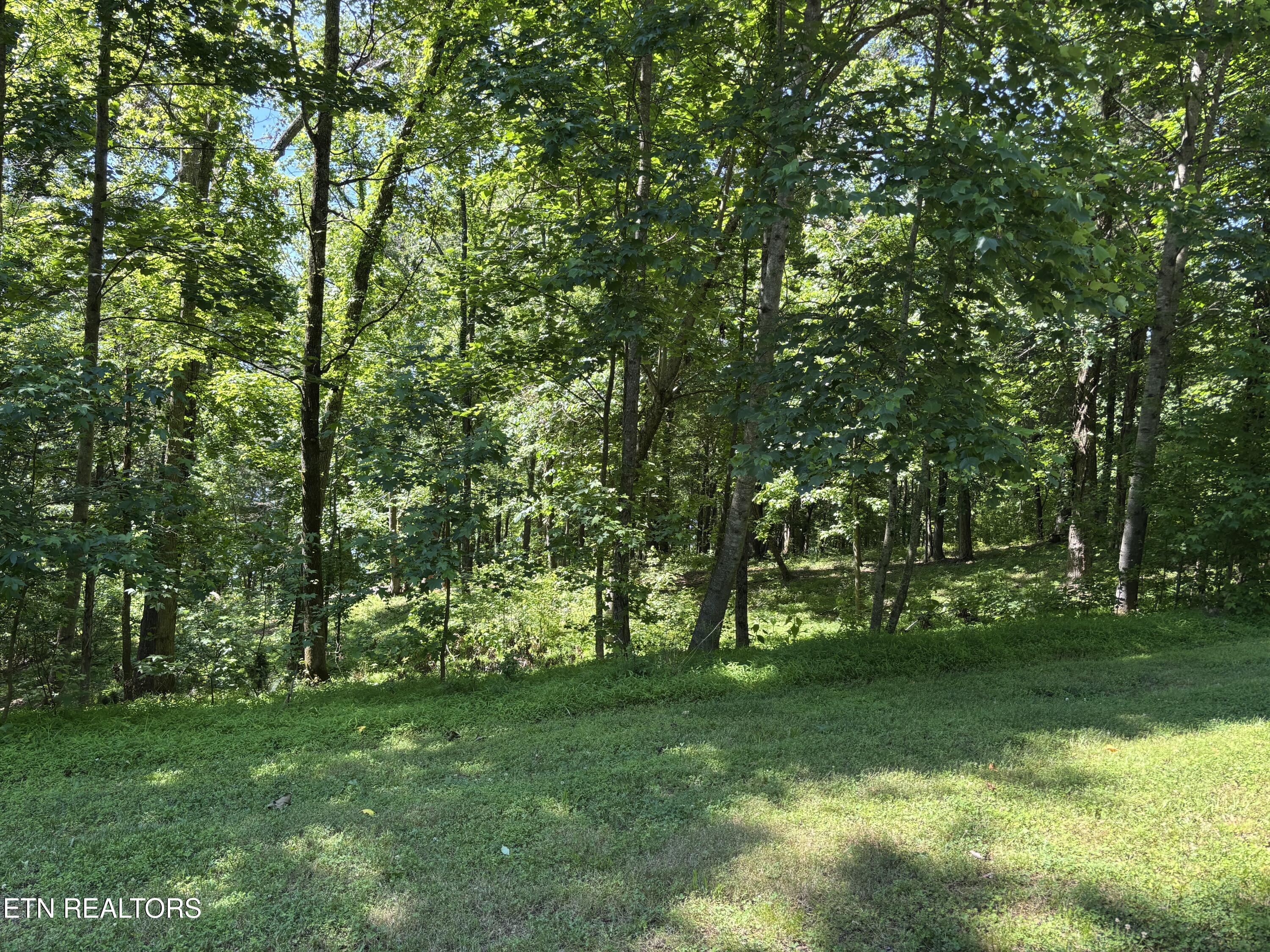 E Shore Lot 117 Drive Rockwood TN 37854