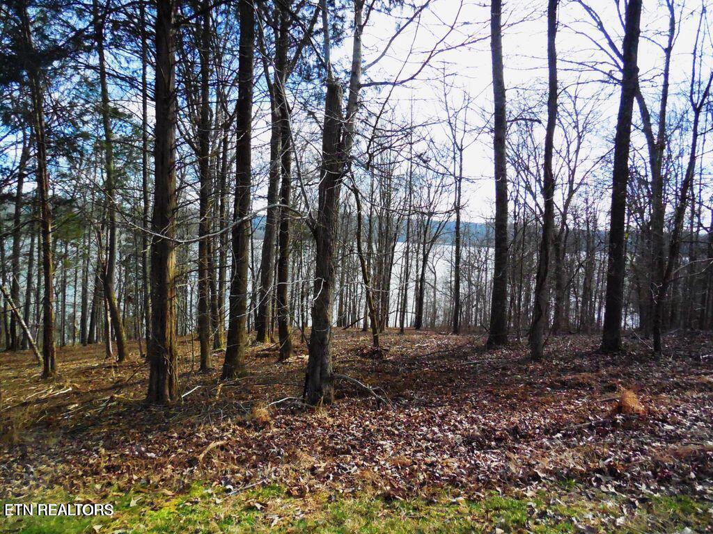 E Shore Lot 117 Drive Rockwood TN 37854