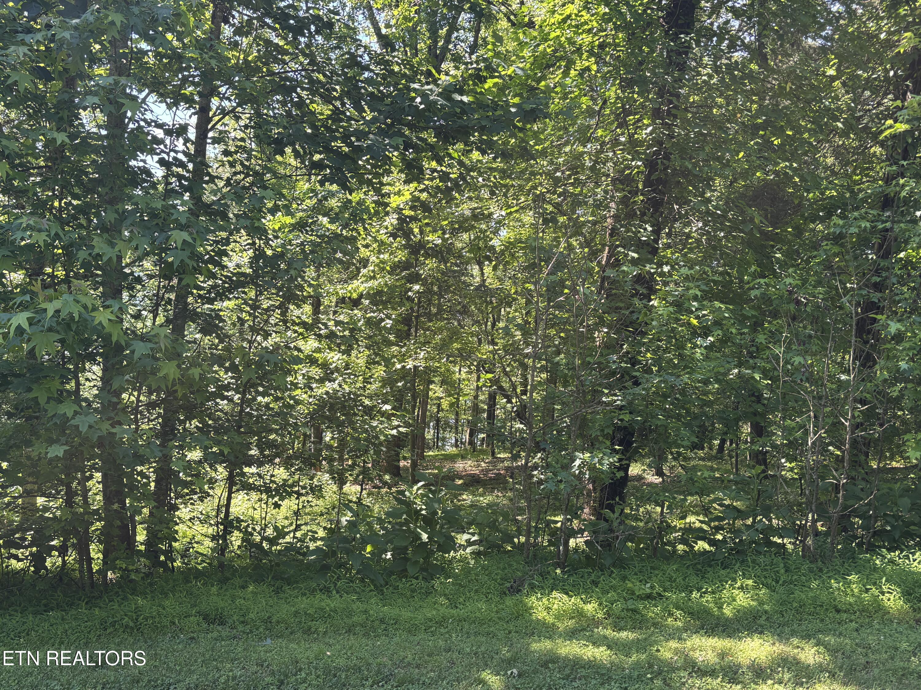 E Shore Lot 117 Drive Rockwood TN 37854