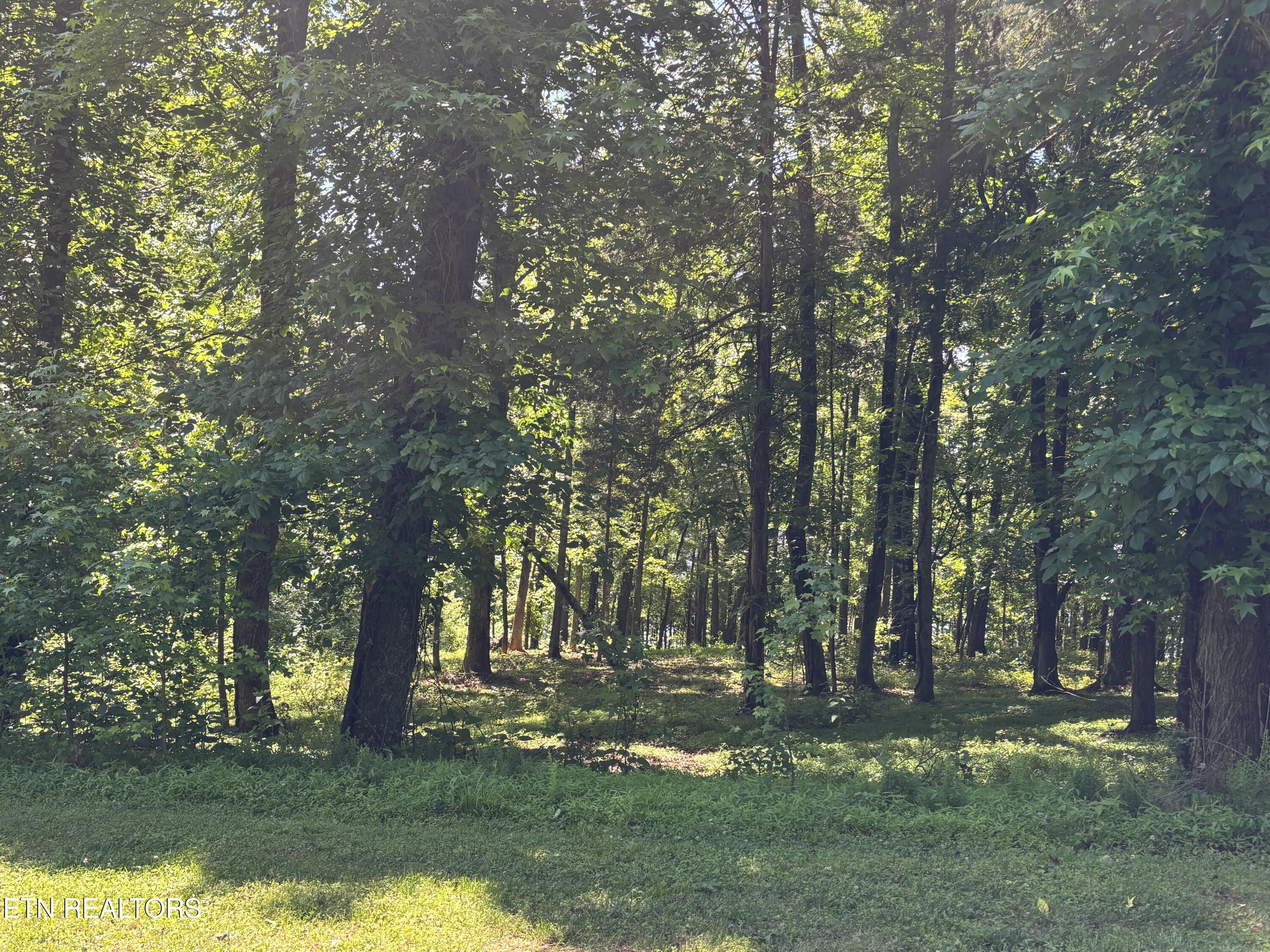 E Shore Lot 117 Drive Rockwood TN 37854