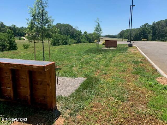 E Shore Lot 117 Drive Rockwood TN 37854