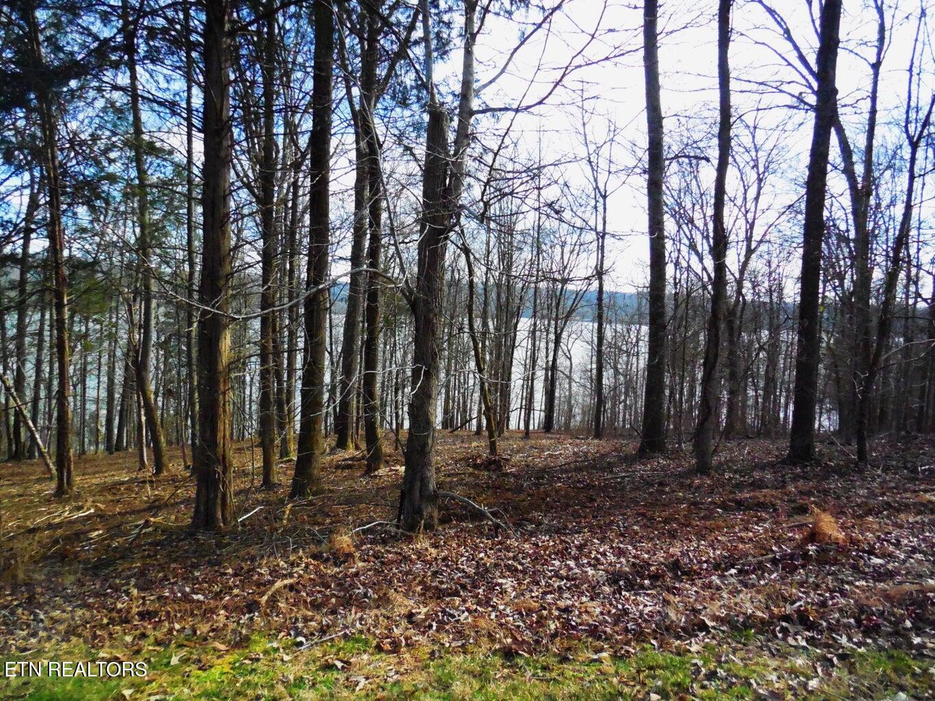 E Shore Lot 117 Drive Rockwood TN 37854